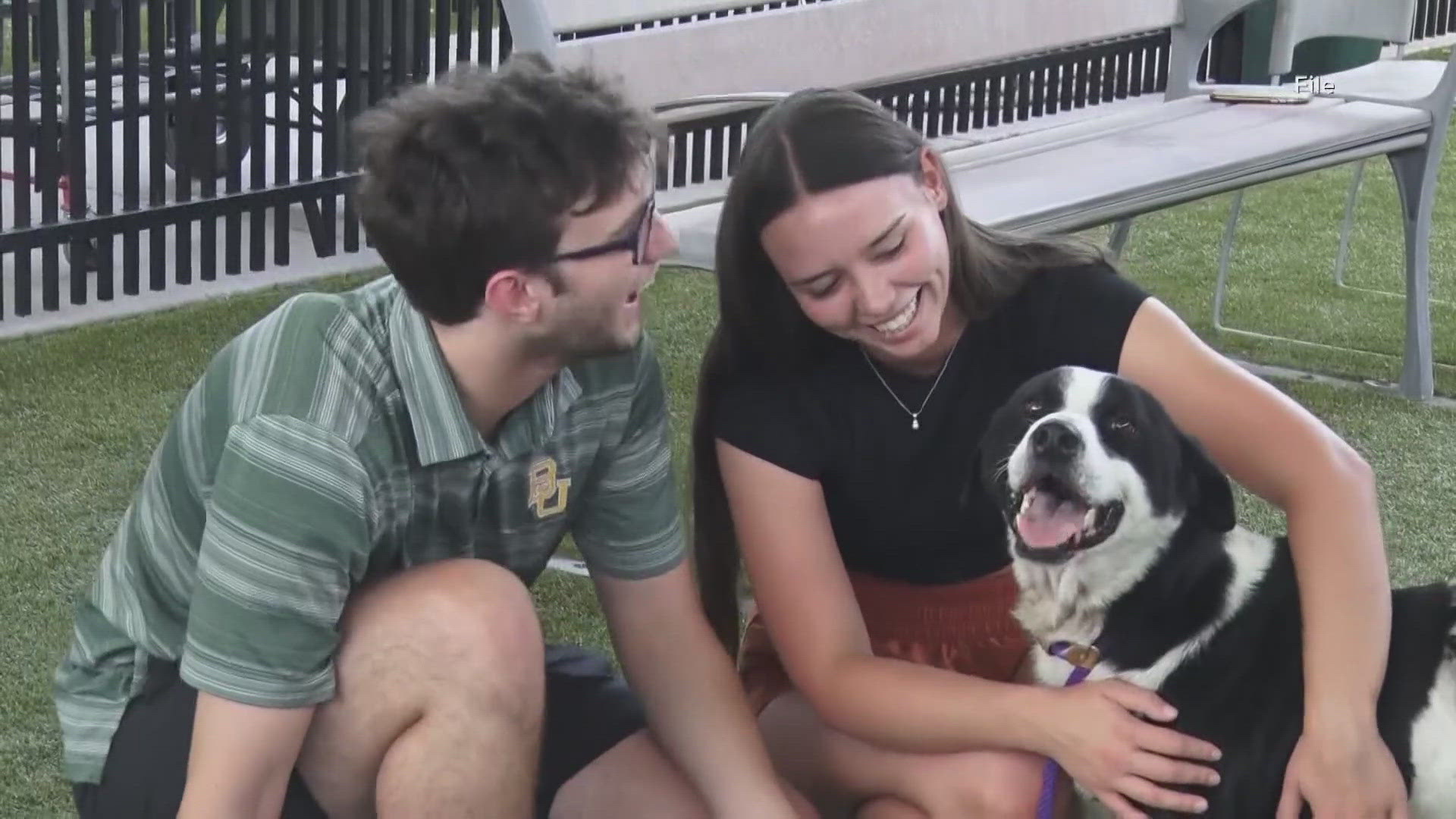 The Humane Society of Central Texas started the process to terminate its contract with the City of Waco and leave the Waco Animal Shelter campus in July.