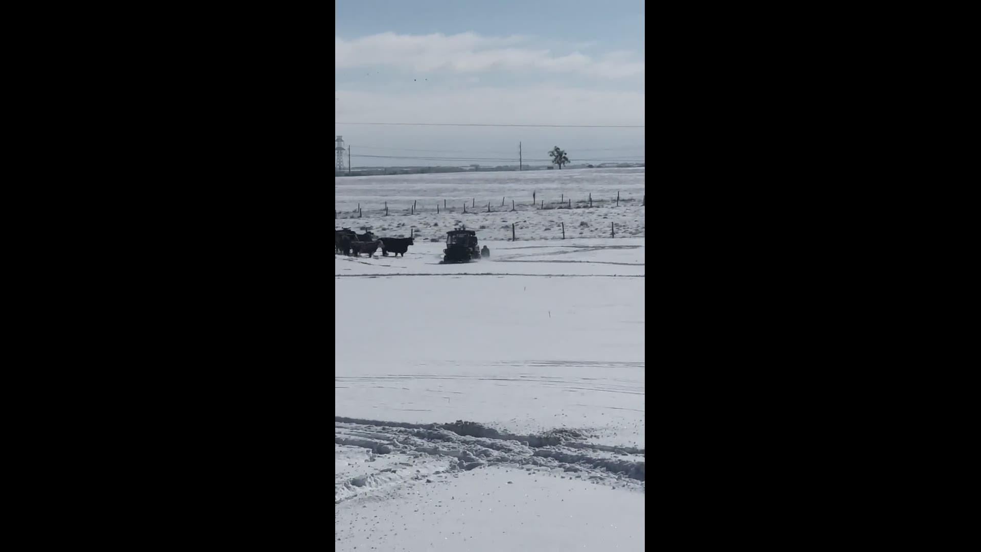 This is how we sled in Texas.
Credit: Karen Massar