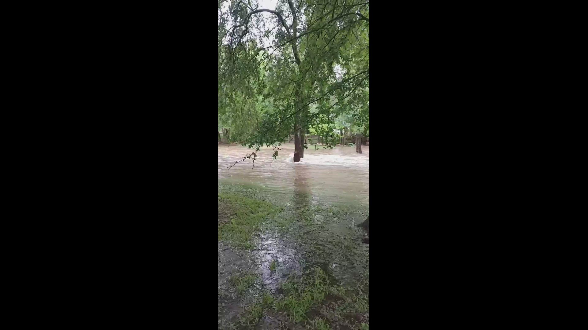 6 News viewer John Davis submitted this video of his flooded backyard.