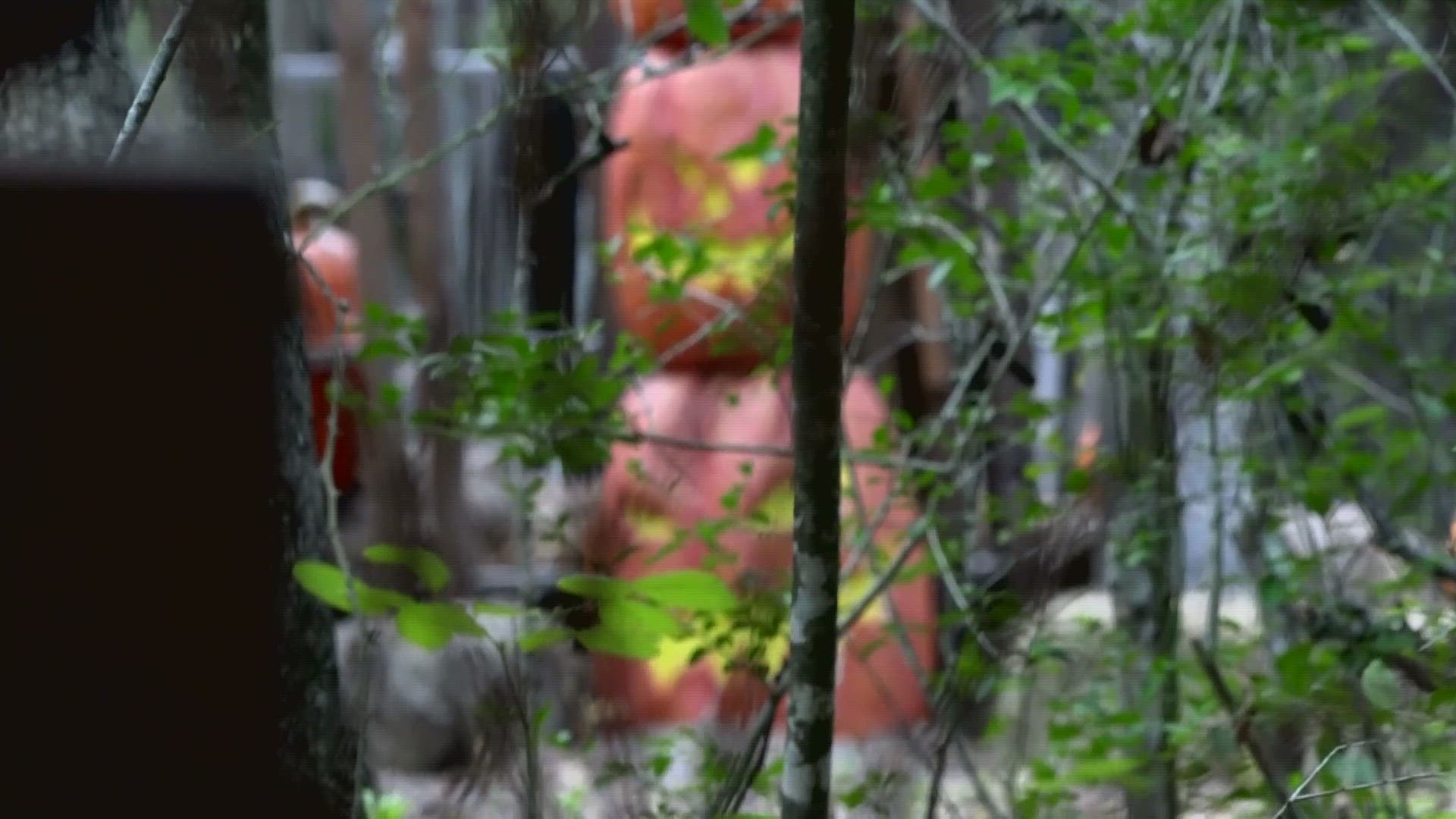 The landowner decks the property out in scary decorations for visitors.