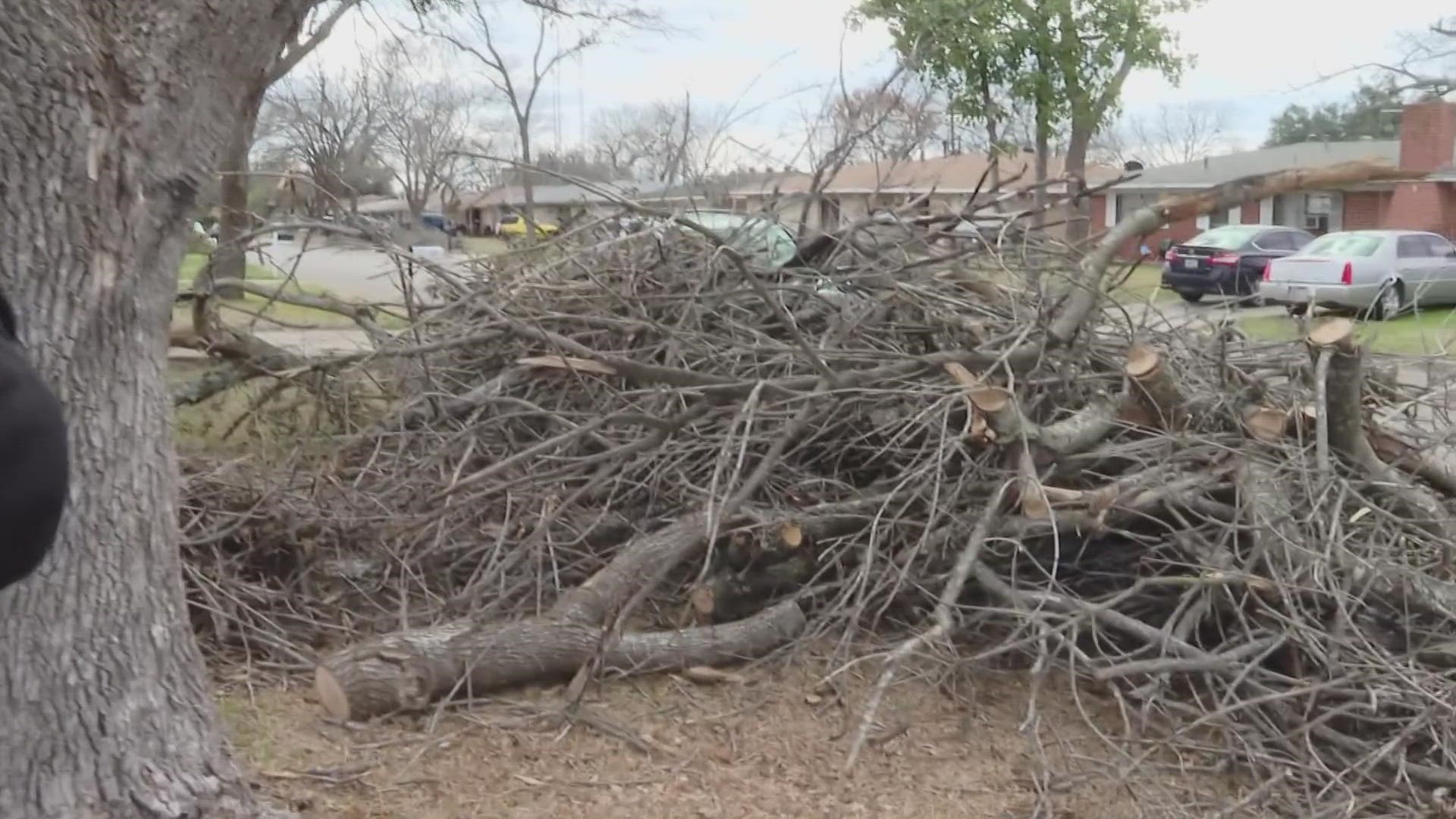Bobbie McBride was told she would have to wait two weeks and pay $300-800 for tree removal services, but 6 News and the city had it cleaned up in a matter of hours.