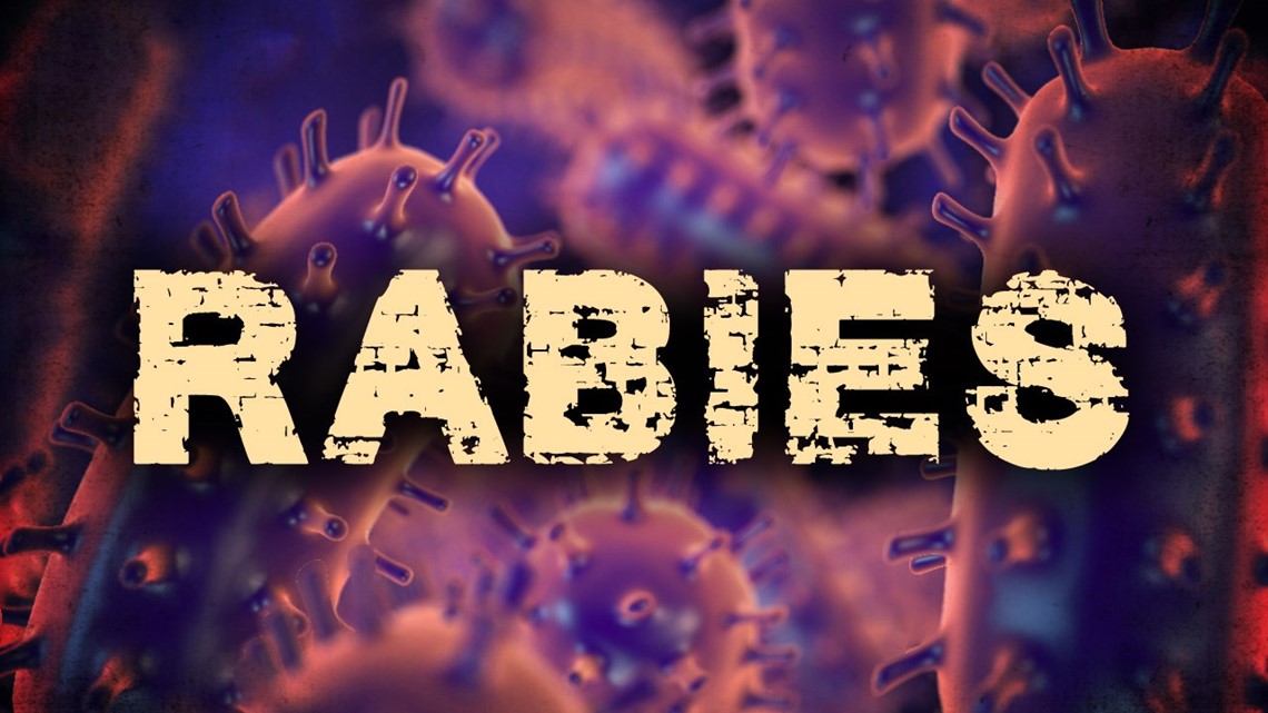 Lampasas animal shelter warns residents of possible rabies case ...