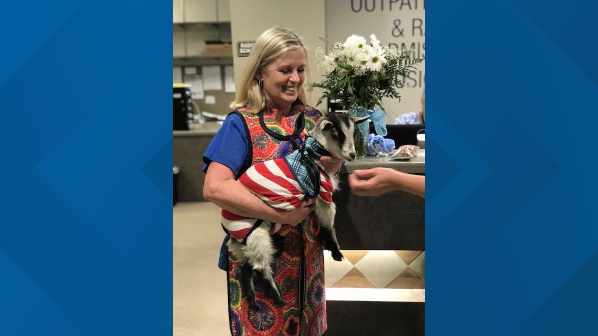 Goat-A-Grams of Waco can be delivered to your loved one. It include a 15 minute visit with a baby goat, a gift bag with a chocolate, balloon, and a plush goat.