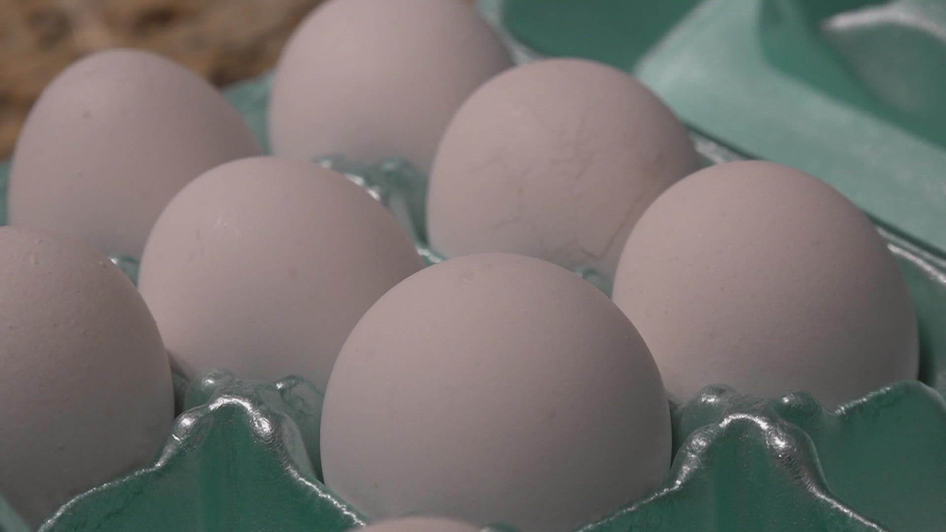 Egg prices have reached record highs and they may not come down anytime soon.