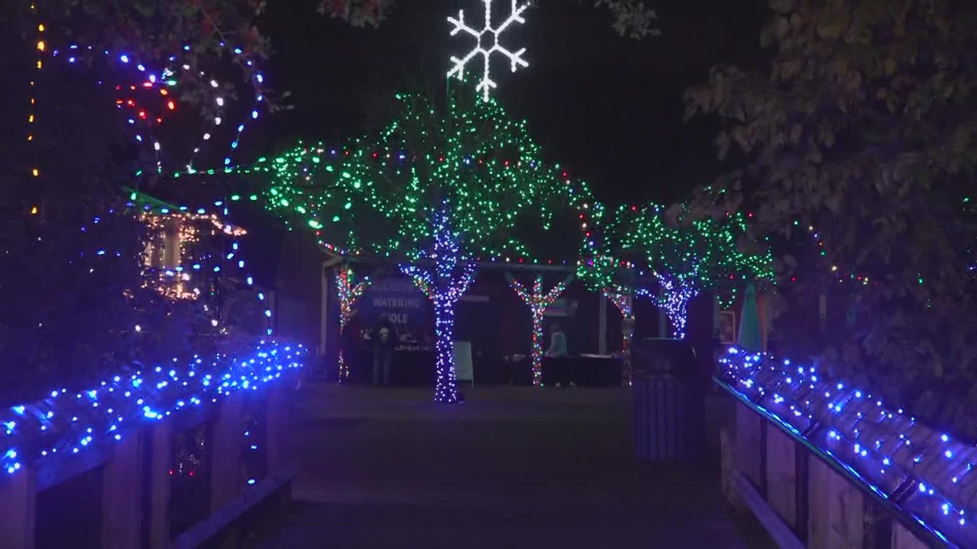 Witness the Cameron Park Zoo decked out with holiday lights during its Wild Lights event, which is happening now.