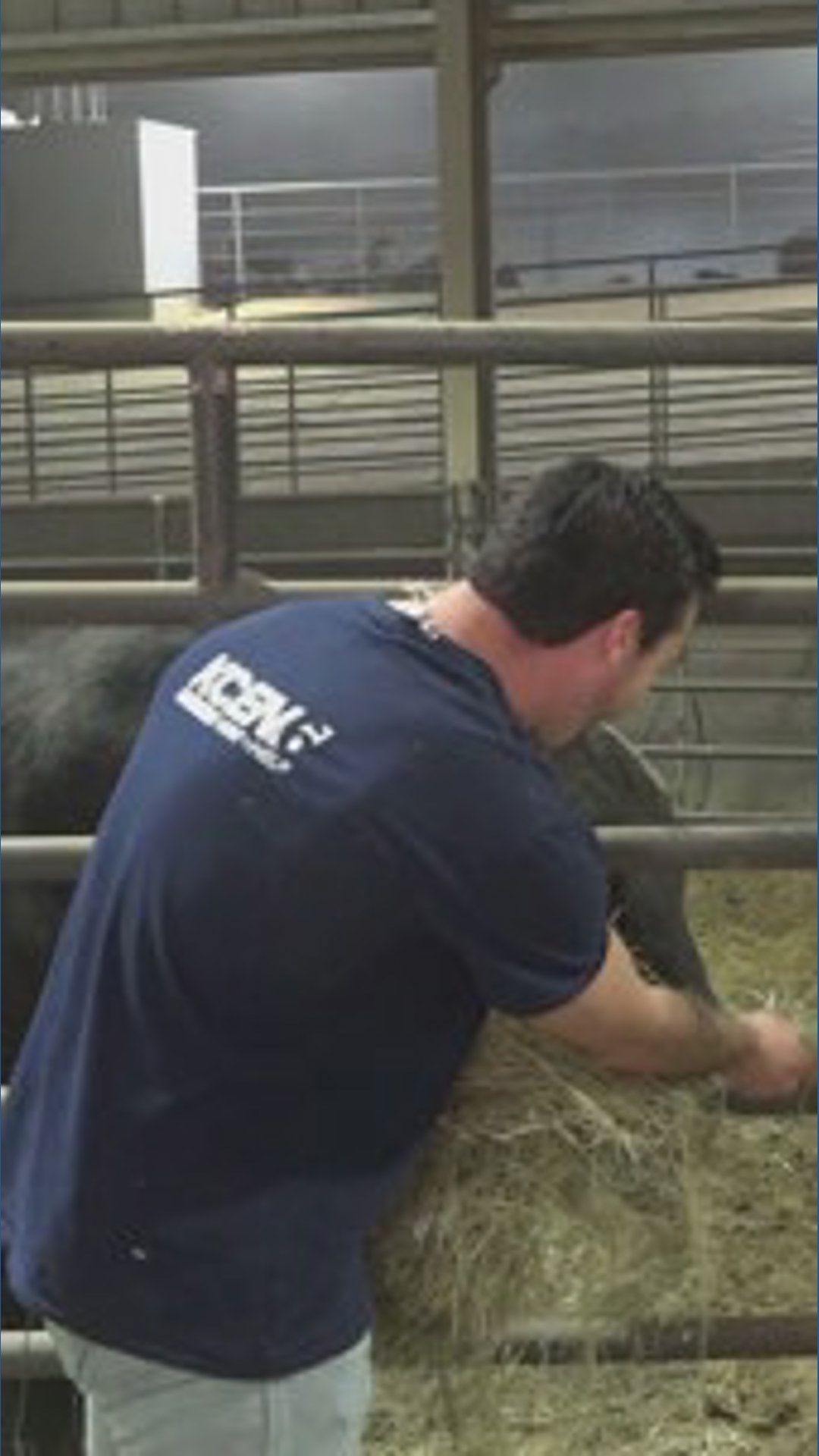 38th Annual Bell County Rodeo PRCA Rodeo kicks off tonight | kcentv.com
