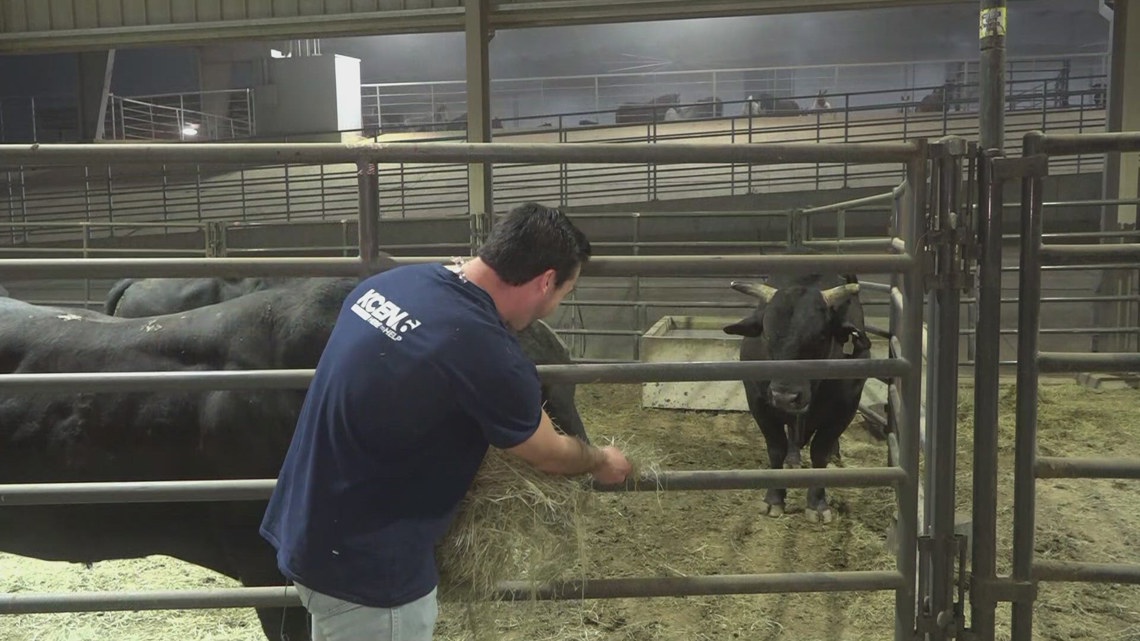 38th Annual Bell County Rodeo PRCA Rodeo kicks off tonight | kcentv.com