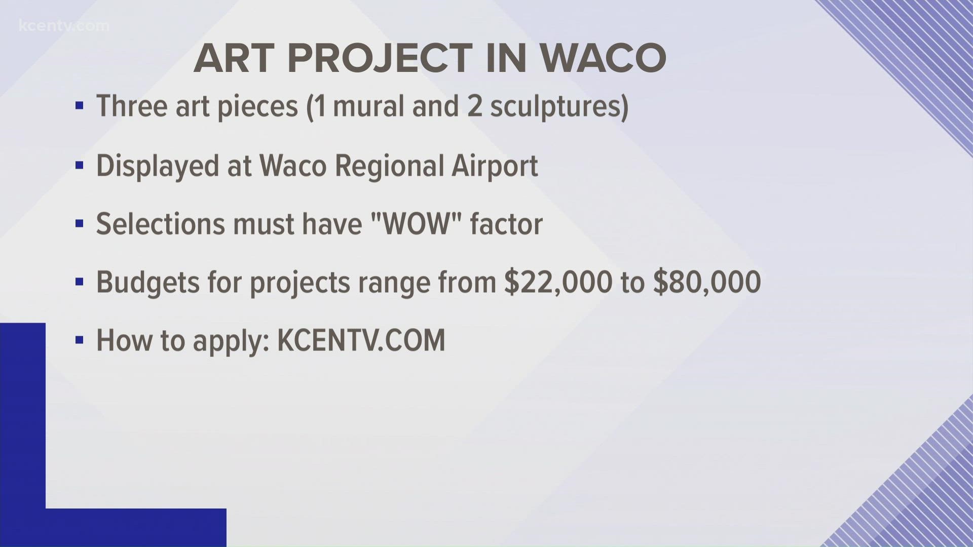 Calling all artists! The sought after artwork should range from interactive murals to sculpture(s), all representing Waco's mammoth site.