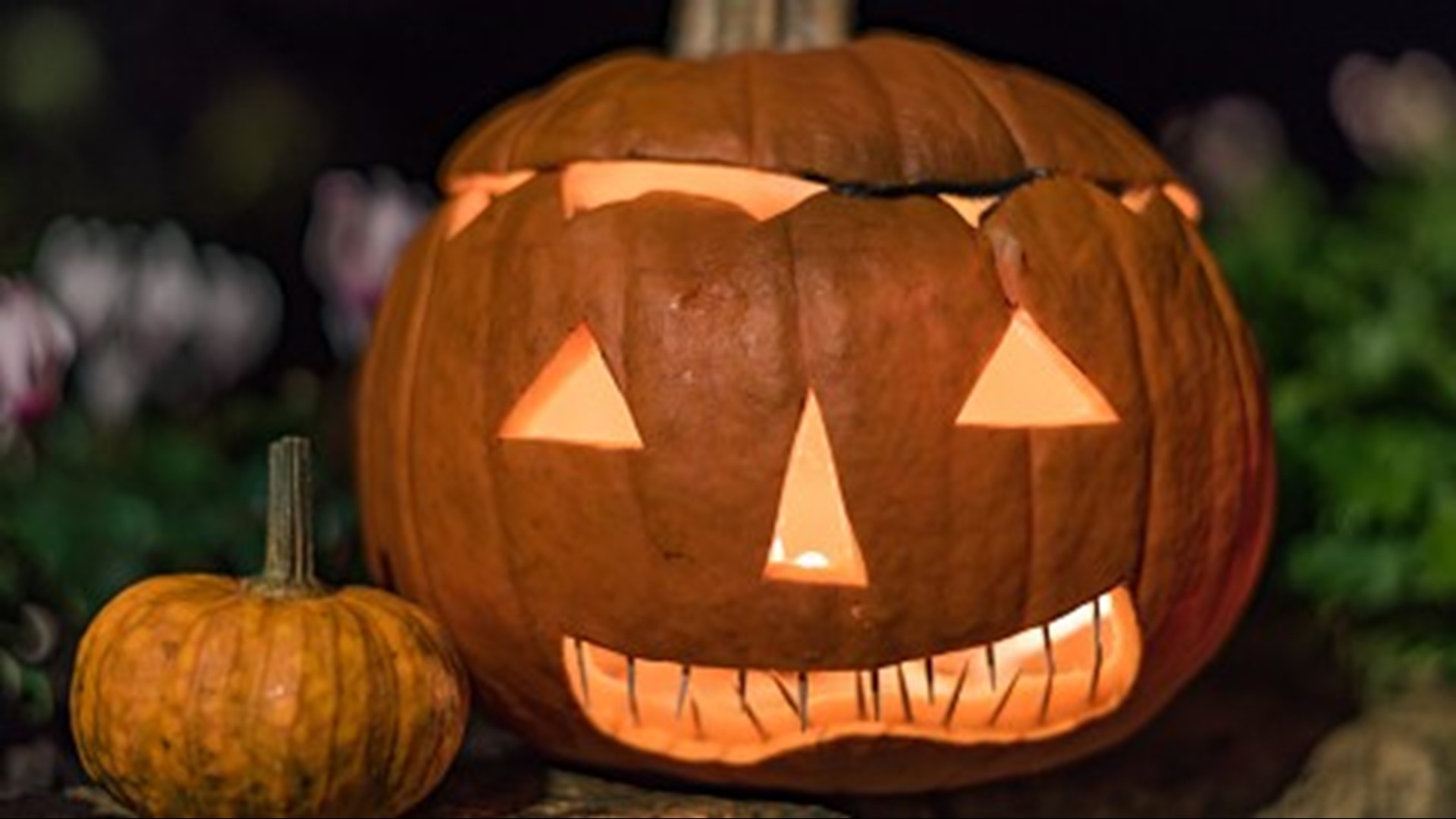 Still planless this Halloween? Don't worry, we've got a list of what's going on across Central Texas this Oct. 31.
