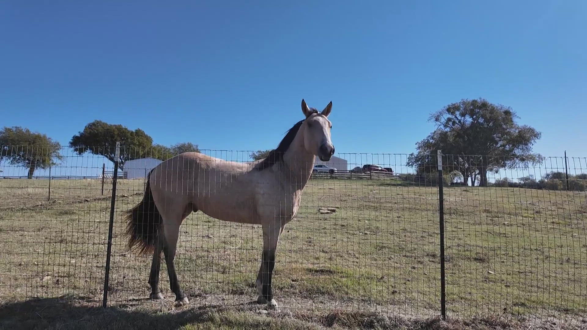 Unbridled Program combines horses and personal development to transform ...