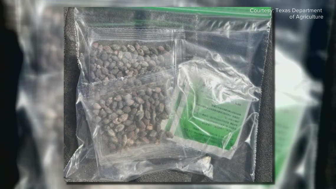 Mystery seeds showing up unsolicited at Texas homes spark biosecurity concerns