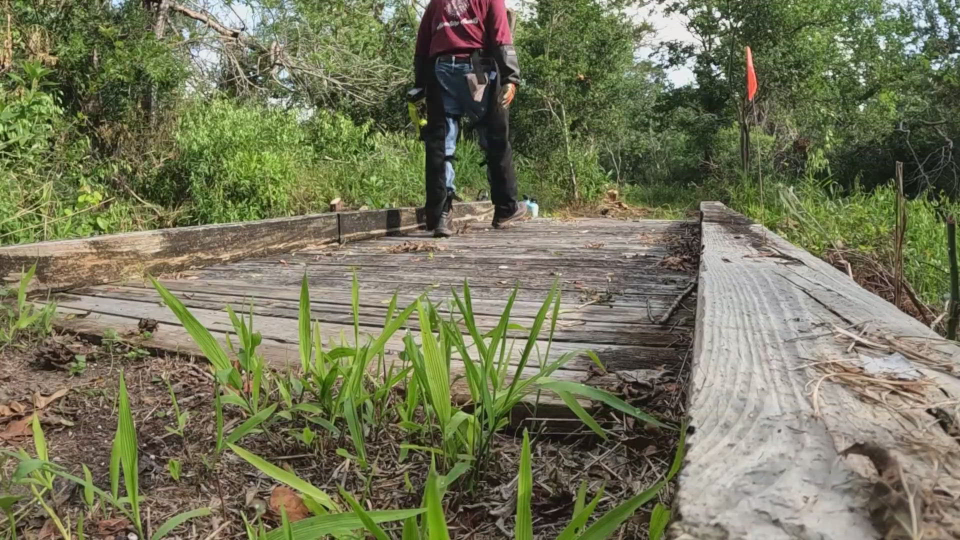 Central Texas Master Naturalists came together to support restoration efforts. 
