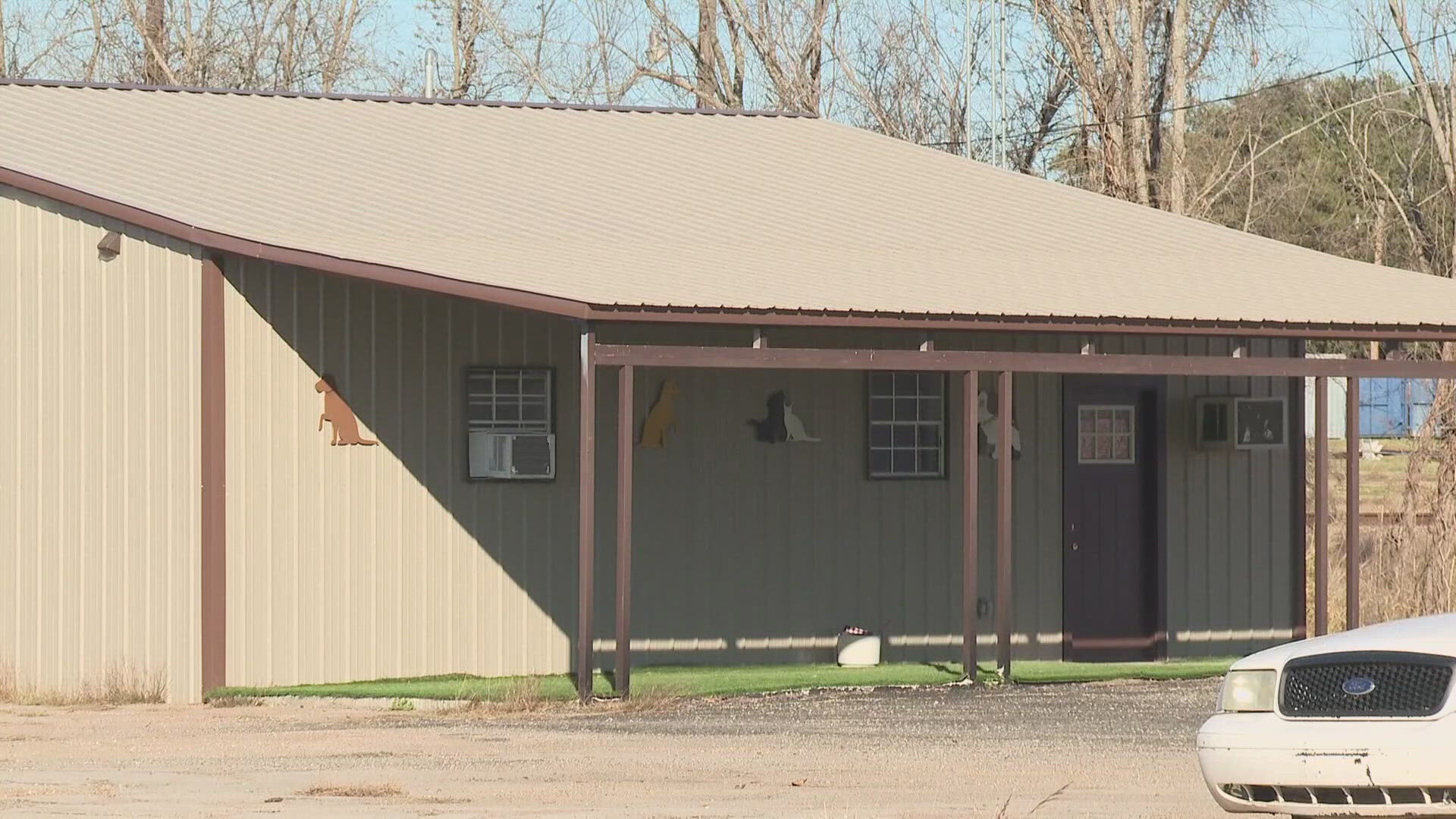 This comes after animal abuse allegations at the Marlin Animal Shelter.