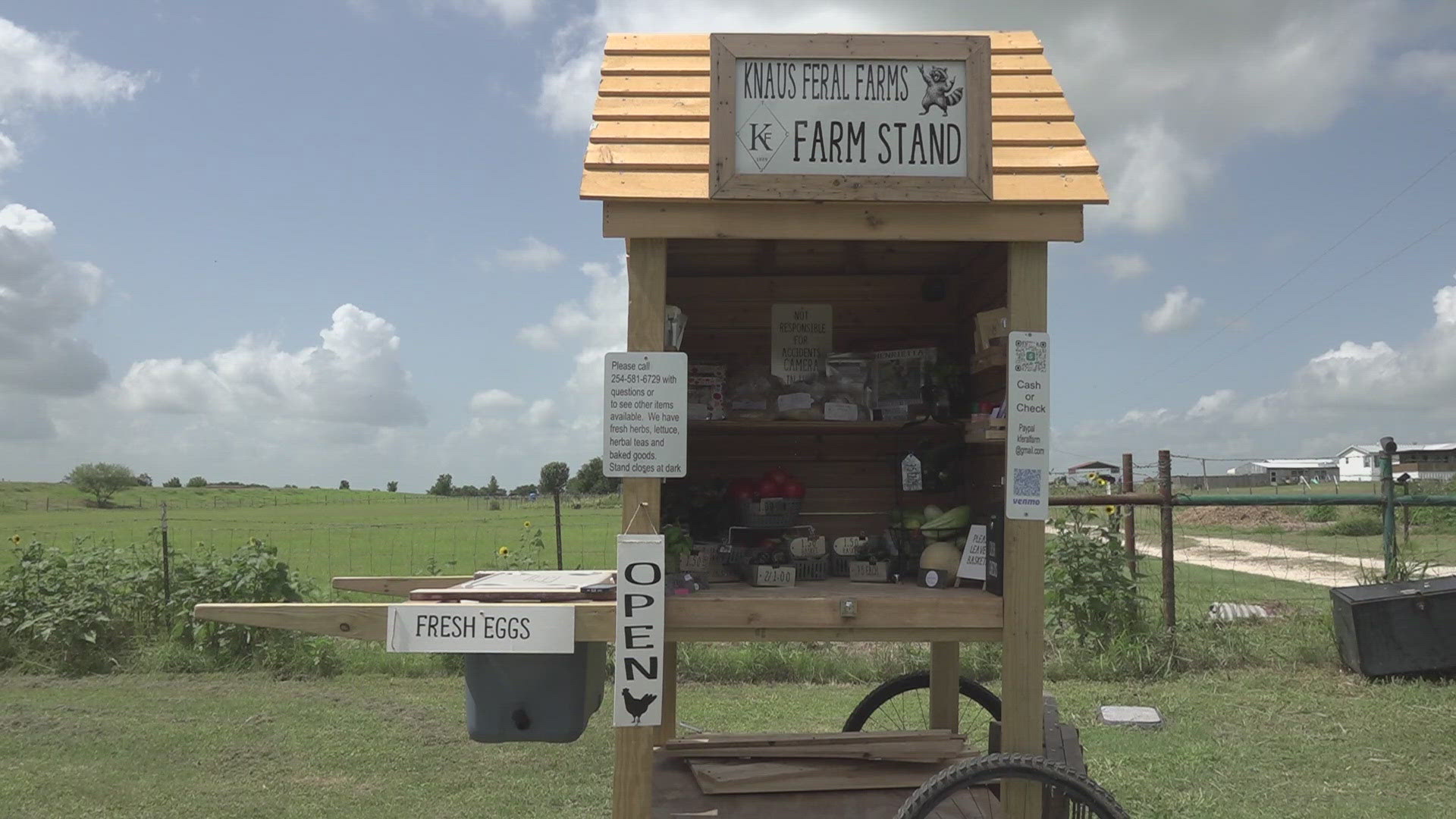 Connie and Terry Knaus said opening the stand is something they had dreamed about, and selling produce they've grown in their own backyard.