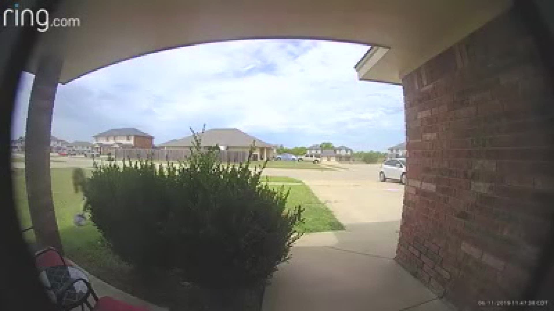 Video appears to show a girl using a security yard sign to try to cover a Ring camera while another crawled toward the door.