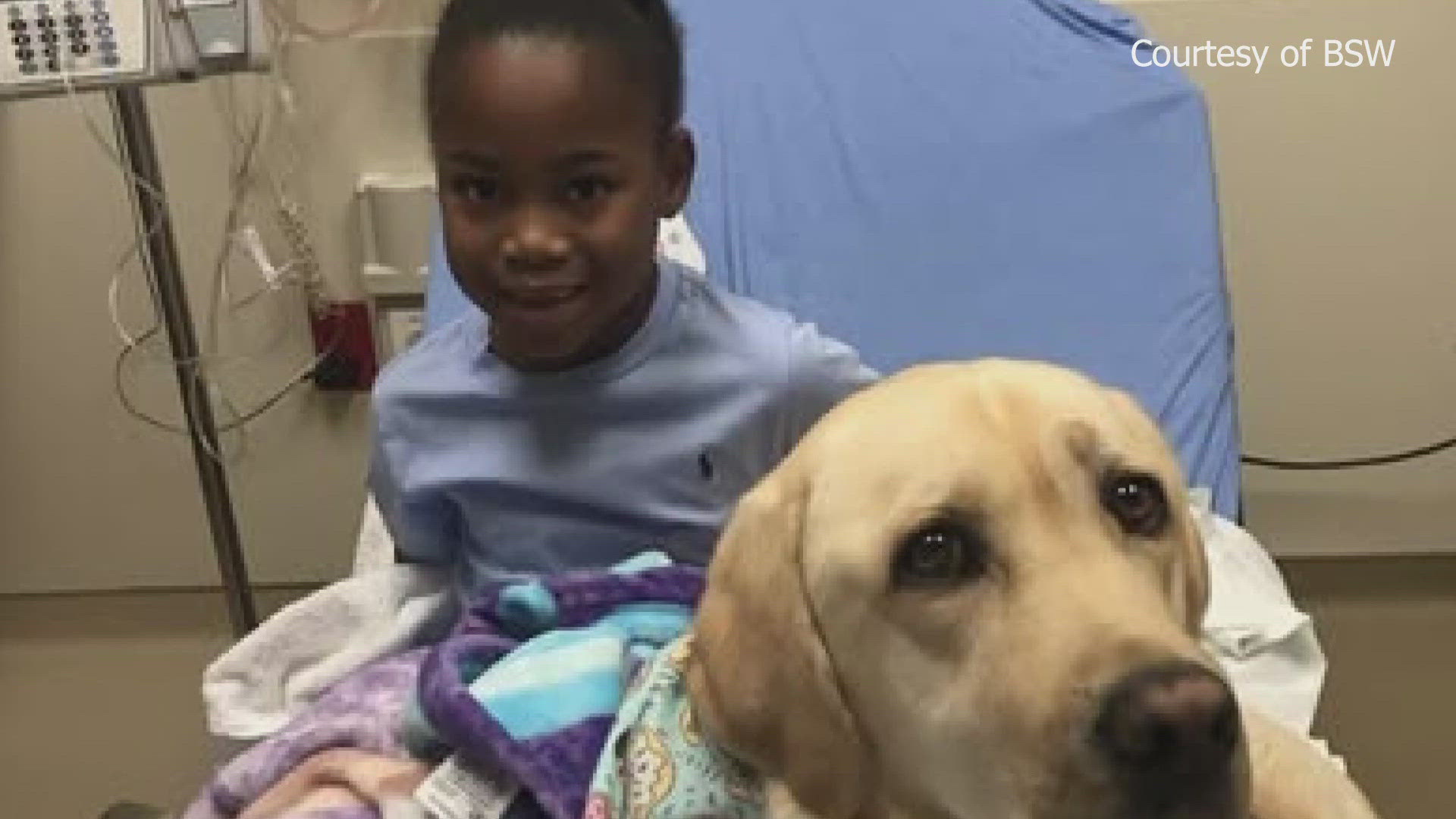 McLane Children's therapy dog leads holiday toy drive, community