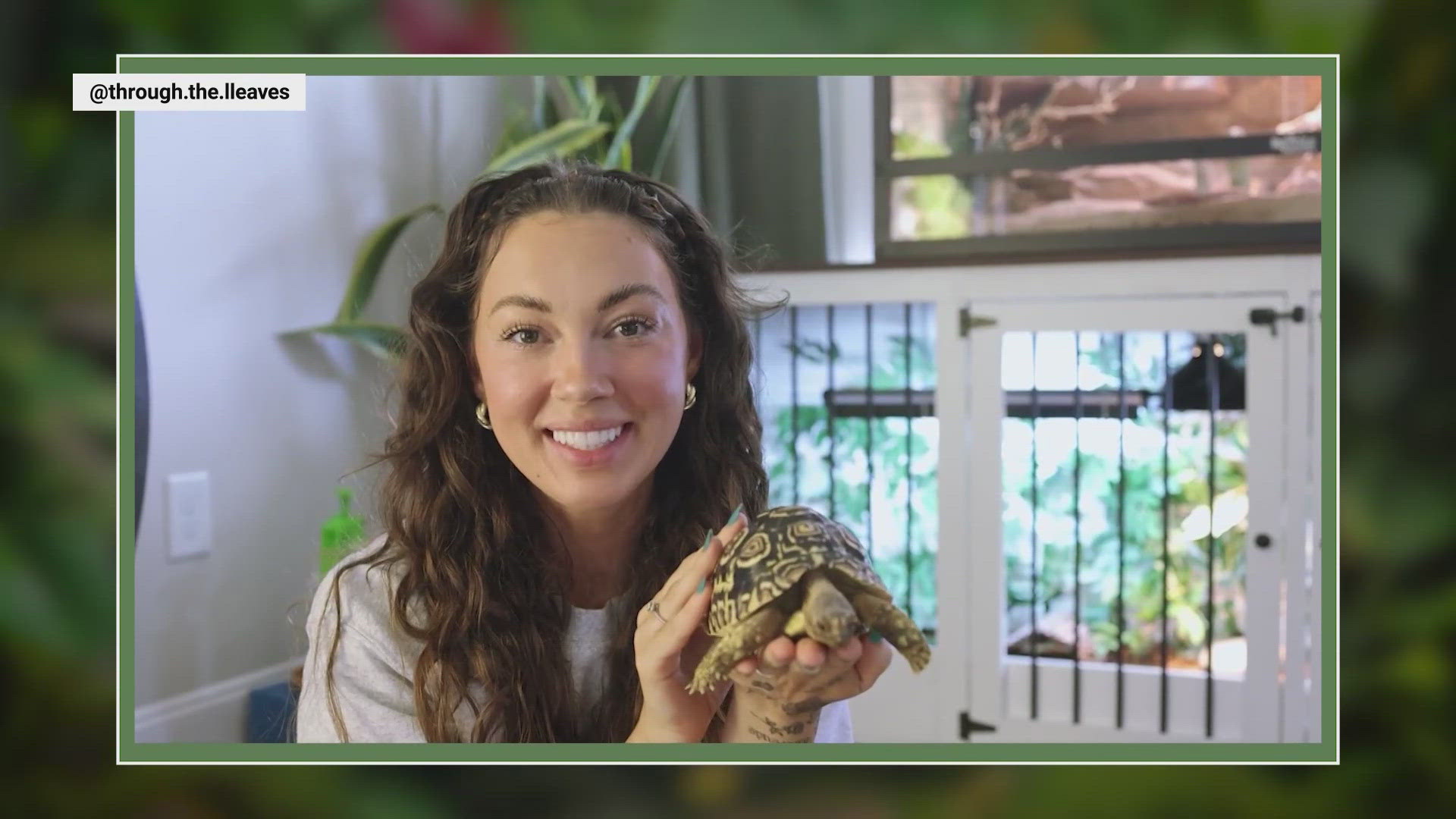 In this economy a lot of people are looking for ways to make money and one side hustle now gaining traction? Petfluencing. NBC's Vicky Nguyen has more.