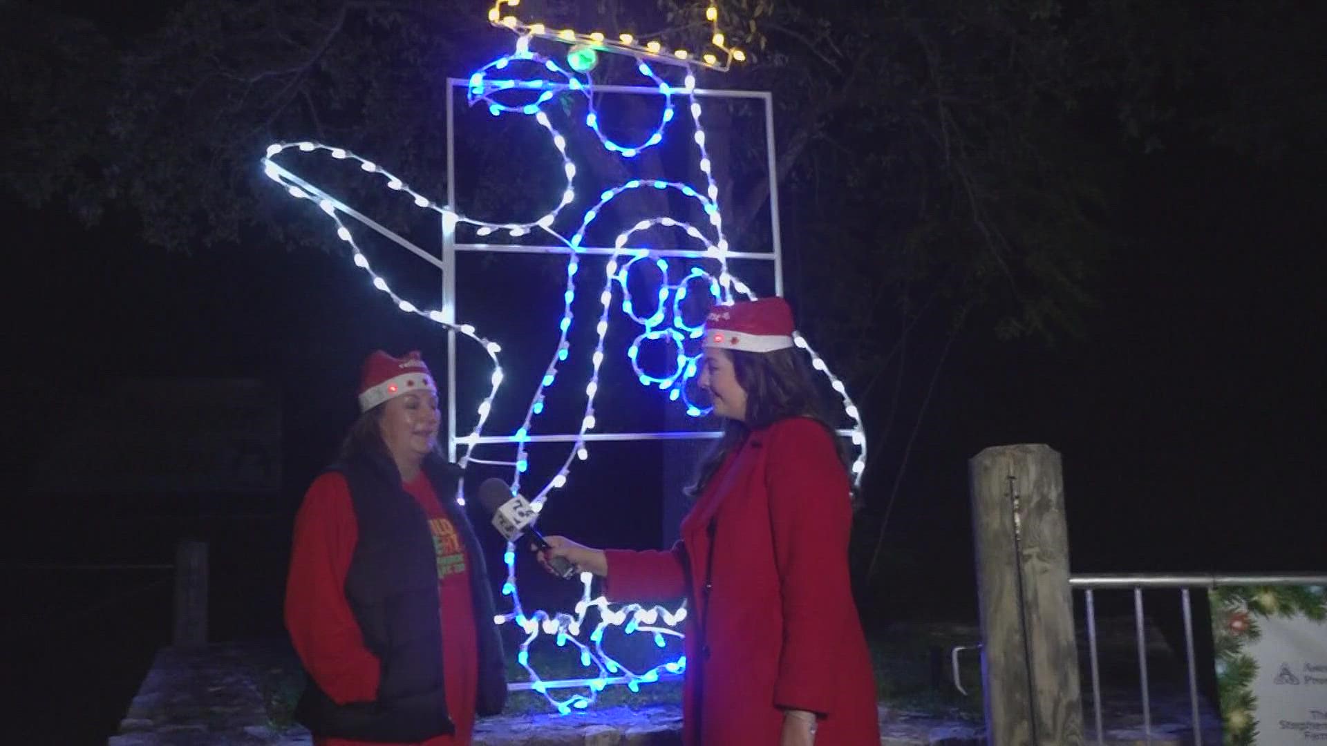 Texas Today's Meredith Haas takes a visit to Cameron Park Zoo to find out more about it's Wild Lights.