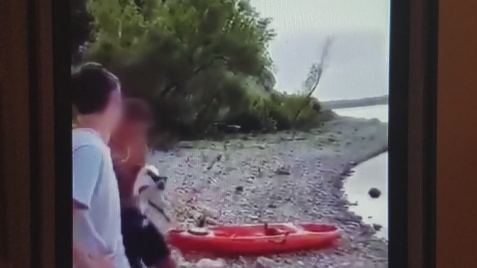 Video: Teen throws cat into Belton Lake