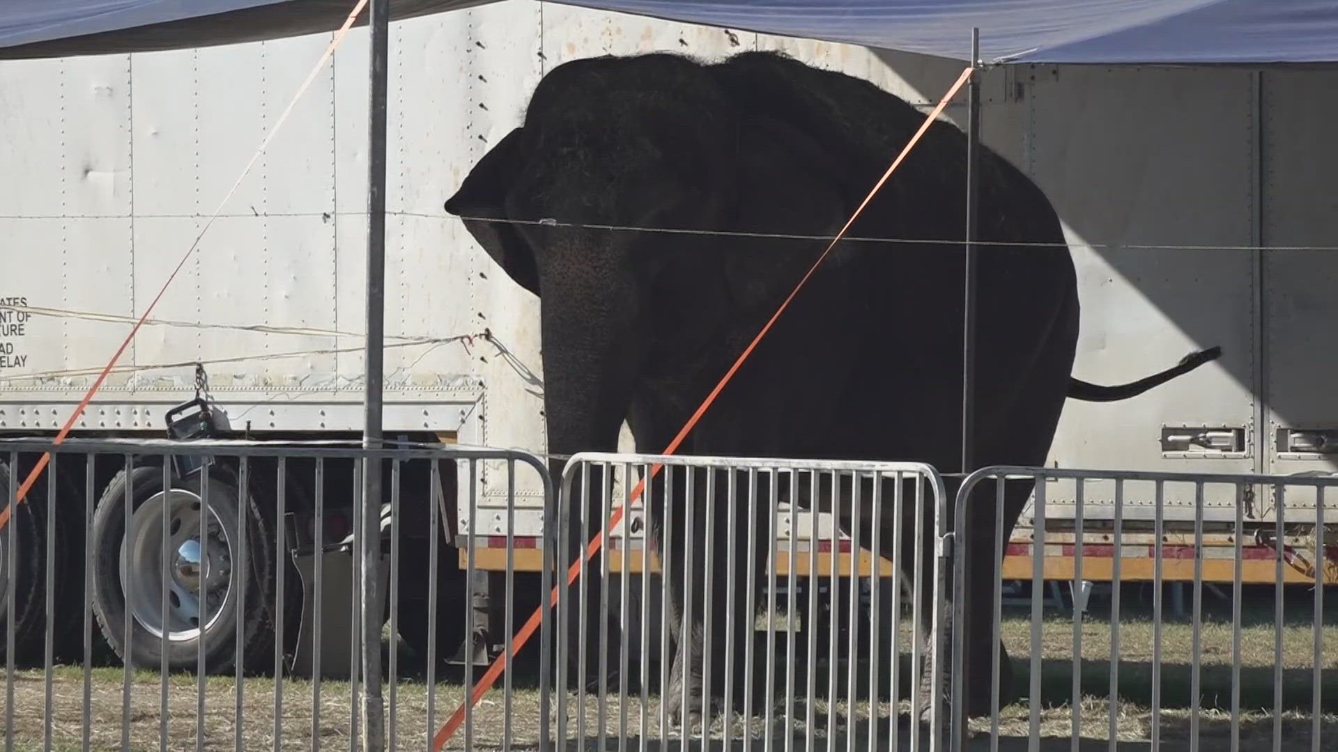 A post in the What's Up WACO Facebook group criticized the Mysterious Circus for the elephant's temporary enclosure