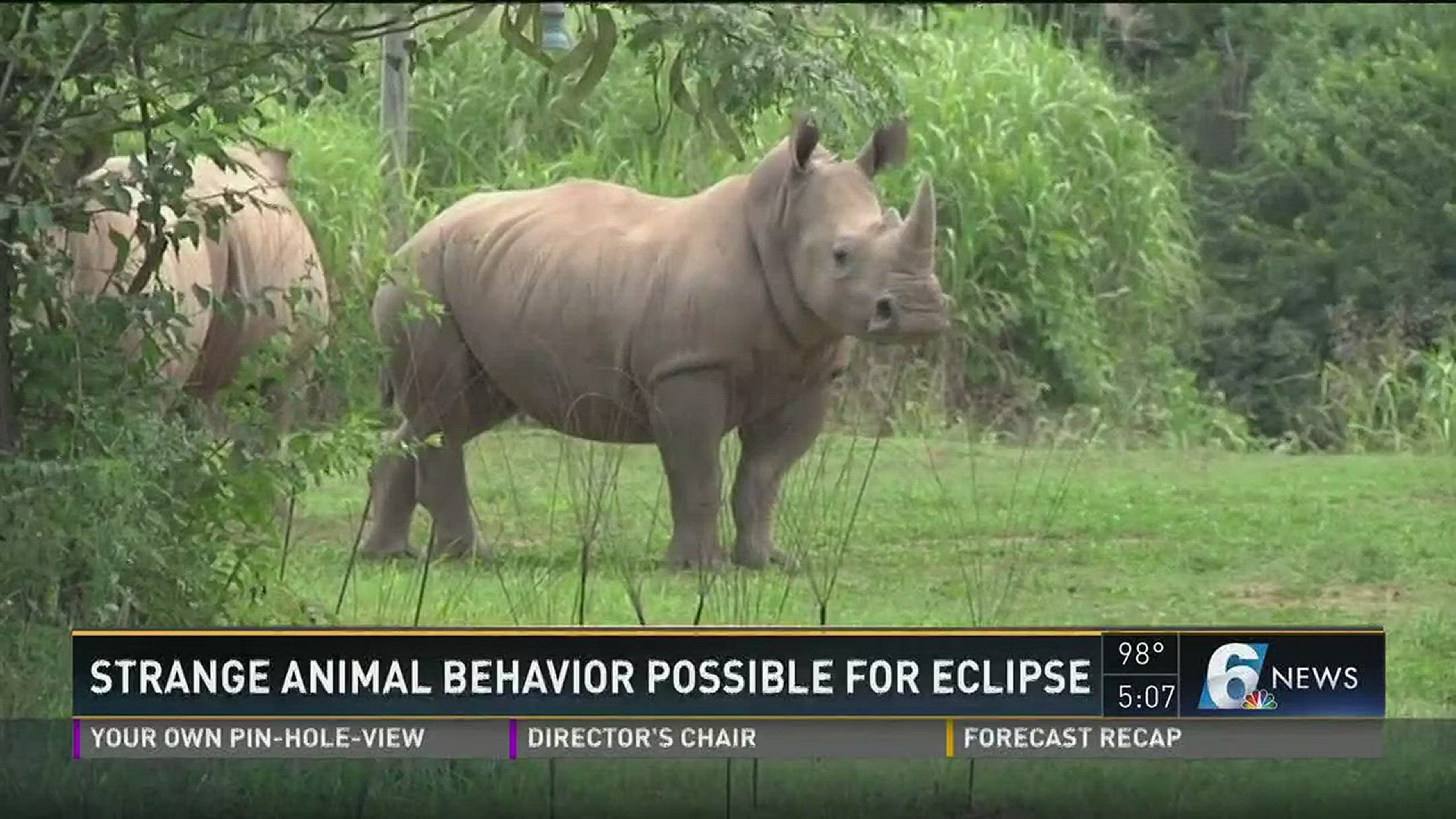 Eclipse Trip: Nashville Zoo will monitor animal behavior during solar  eclipse 