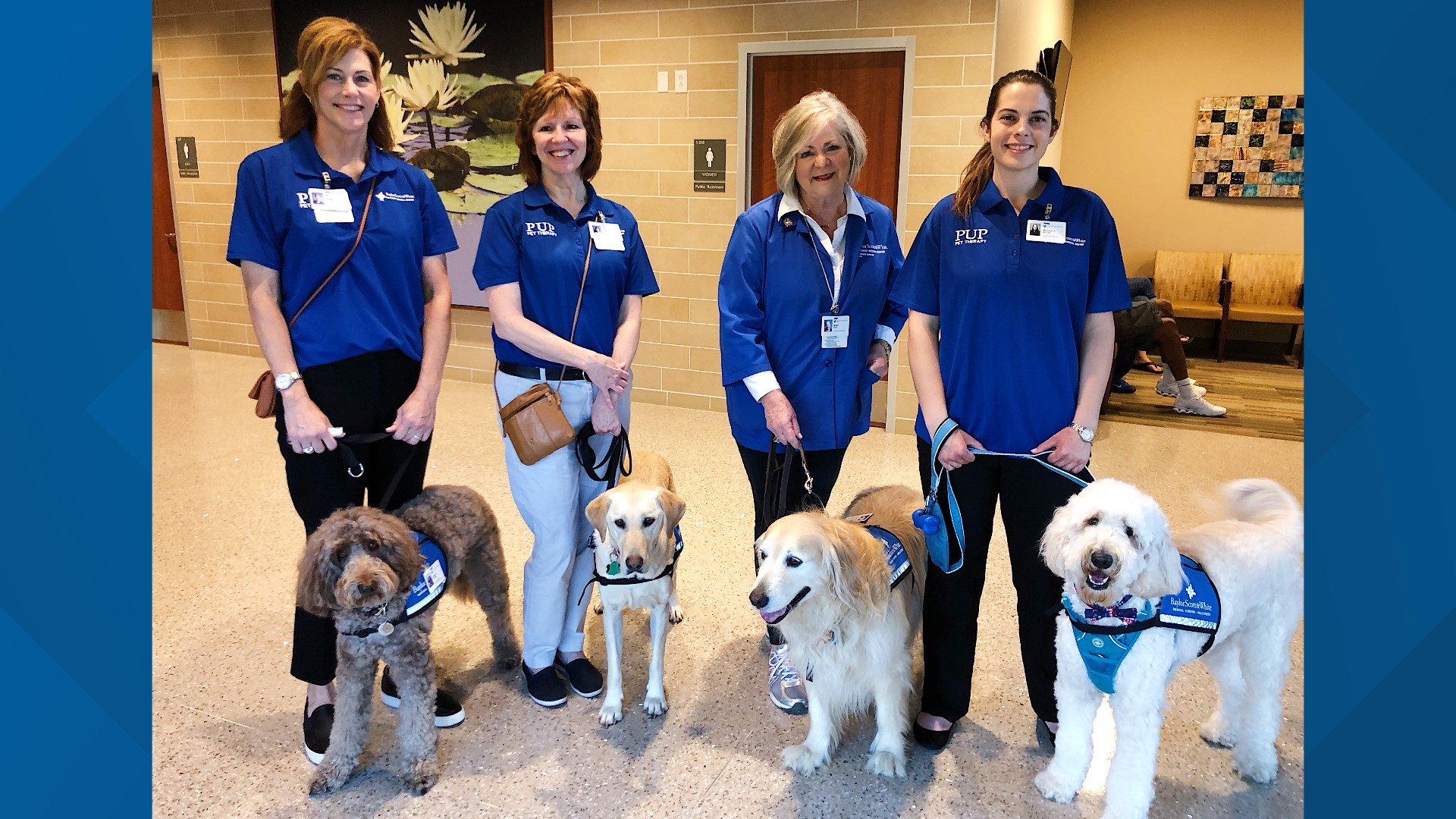 Therapy dogs visit cancer patients at Waco hospital | kcentv.com