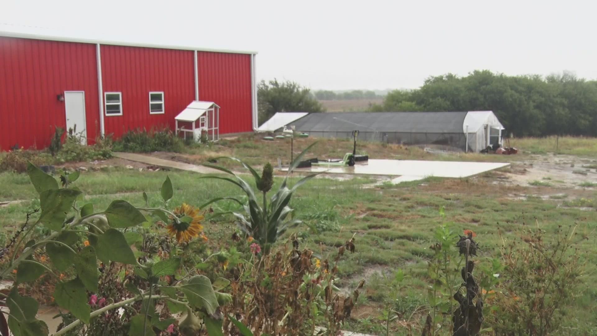 Charles Mikeska, owner of The Farmery, has been dealing with drought conditions despite the recent rain.