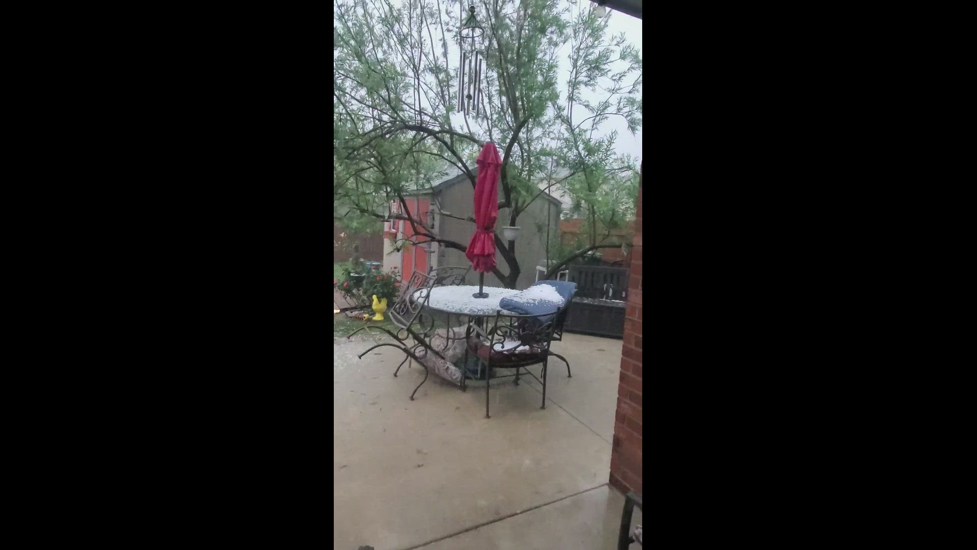 Hail covers a backyard in Killeen
Credit: Carmen Capeles