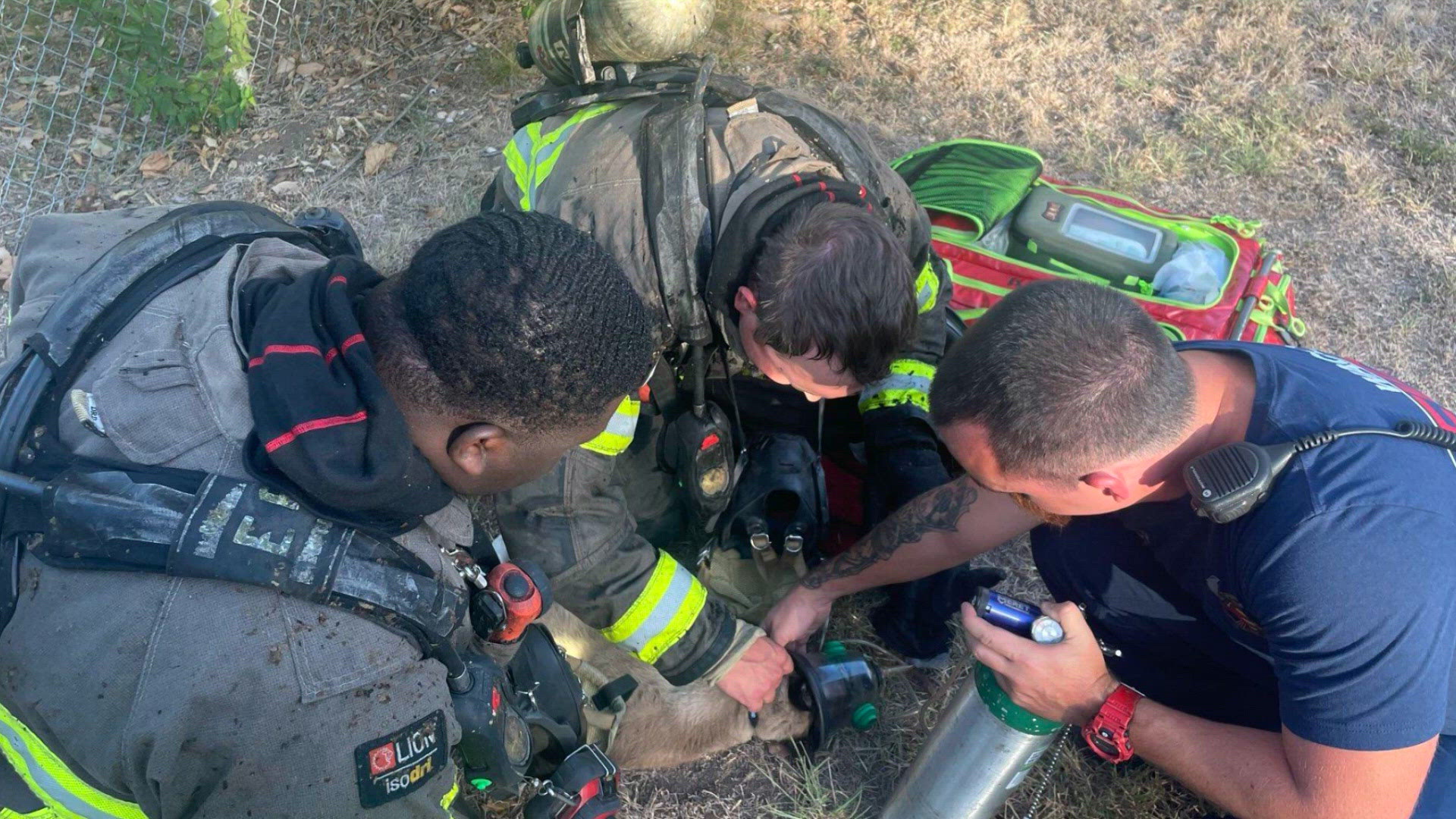 Waco firefighters rescue multiple pets from house fire