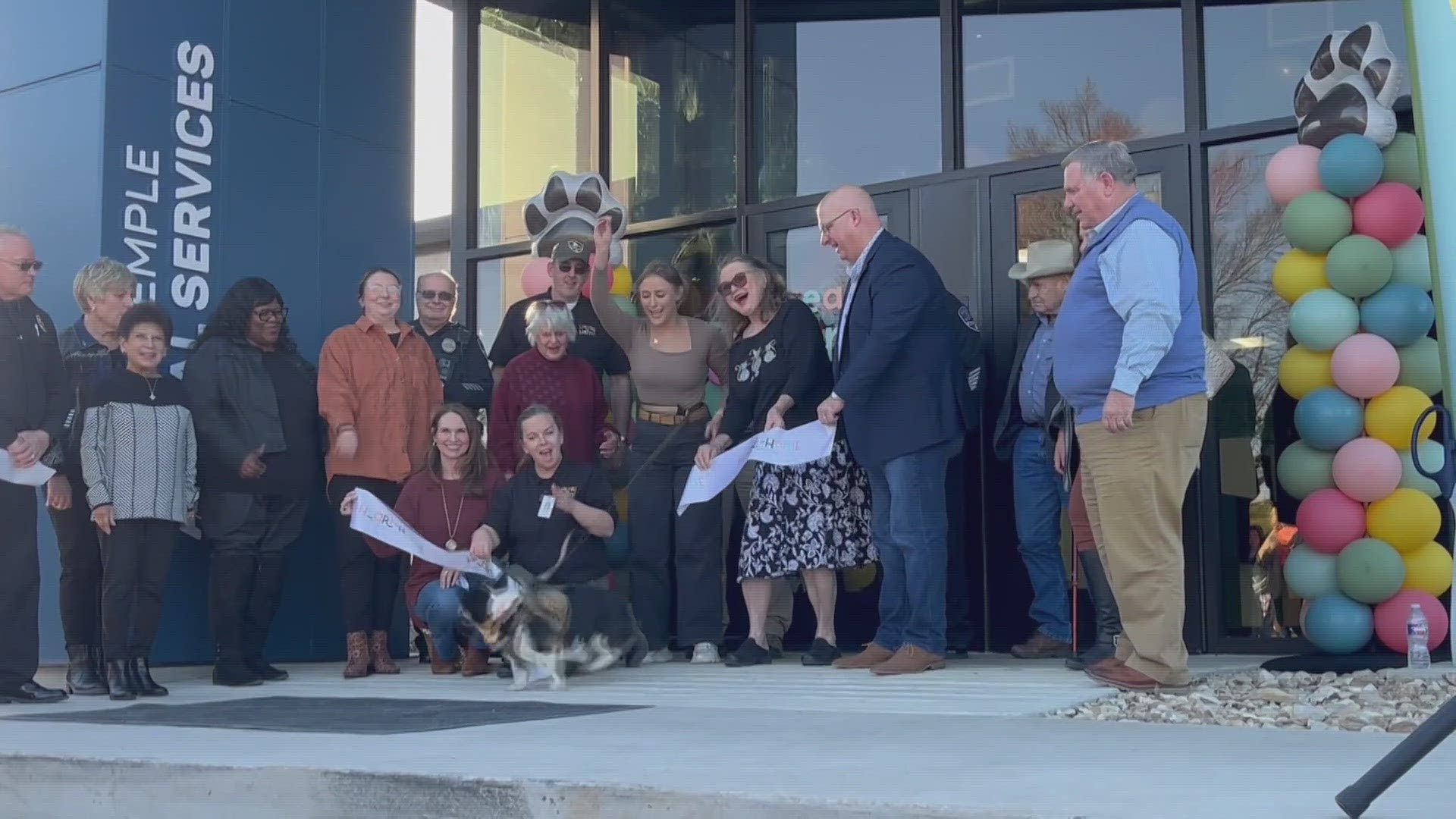 The shelter, now known as the Heart to Home Animals Adoption Center, boasts expansions and improvements to take care of more animals.