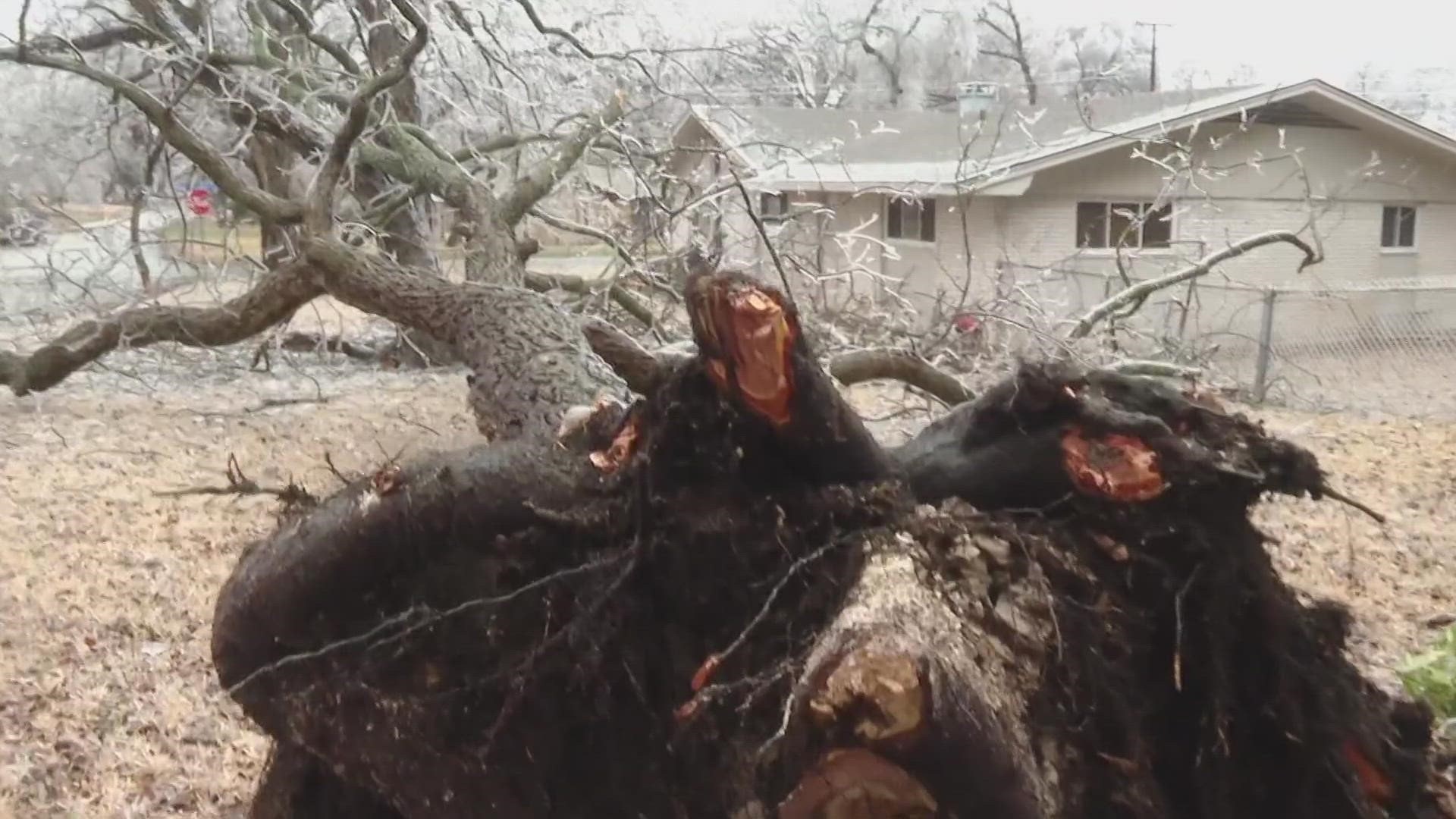 Bell County residents deal with the aftermath of a harsh freeze.