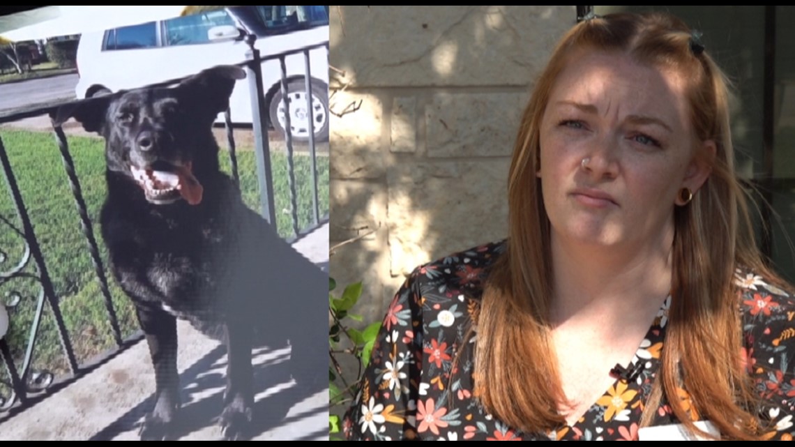 Family continues seeking justice for dog shot by Waco Police | kcentv.com