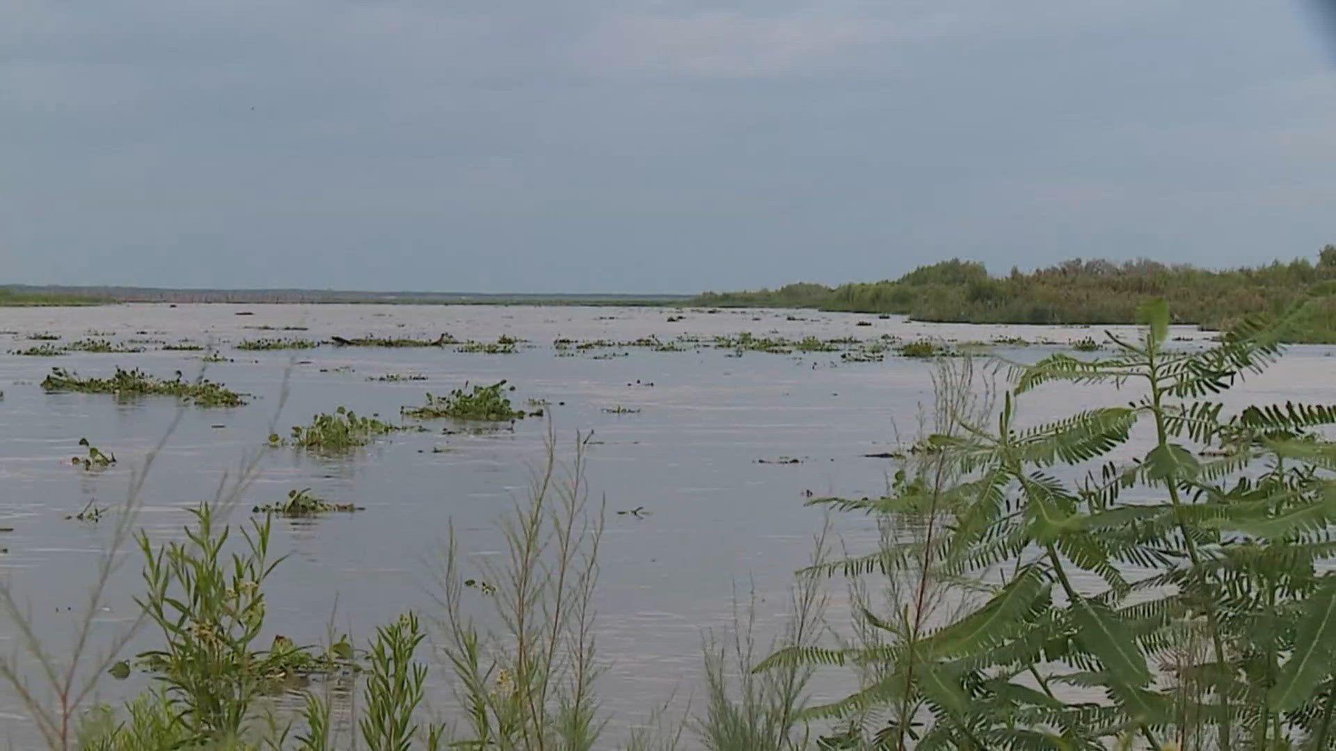 Rising water levels cause concerns in Hill Country | kcentv.com