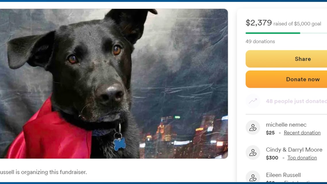 Waco, Texas News | Waco PD shoots, kills dog at wrong address - Vimarsana News