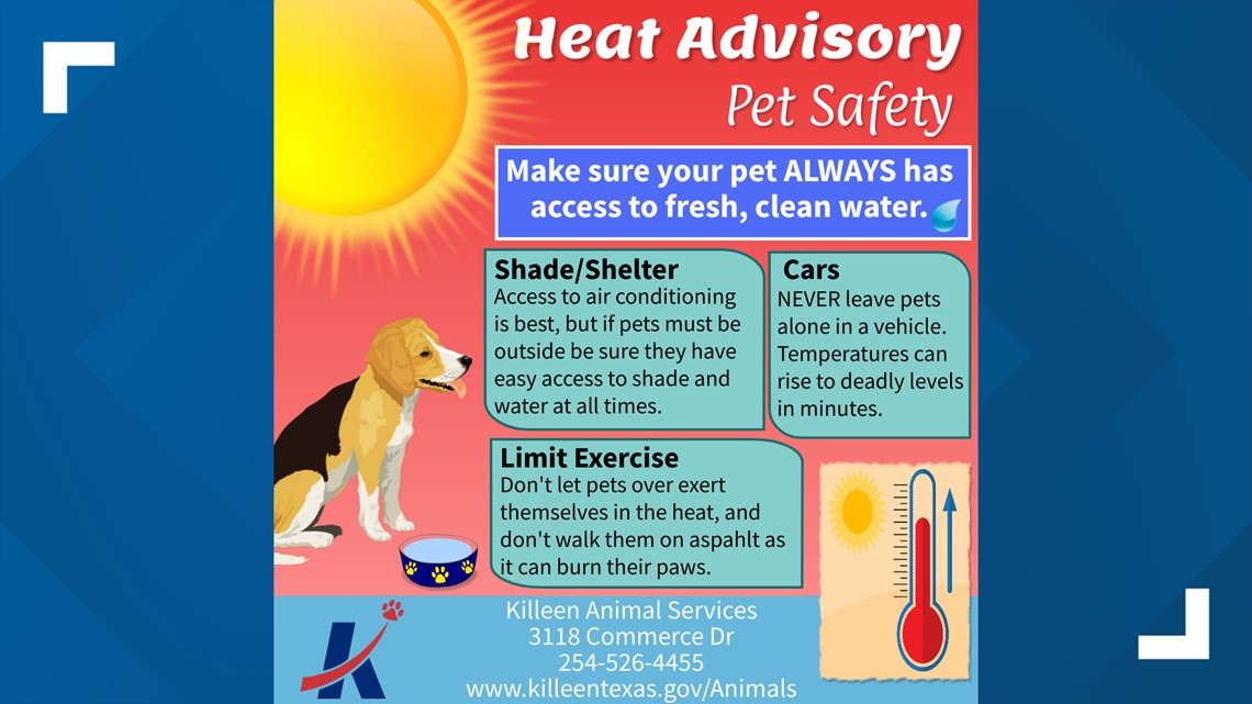 How people can keep their pets safe during a sizzling summer | kcentv.com