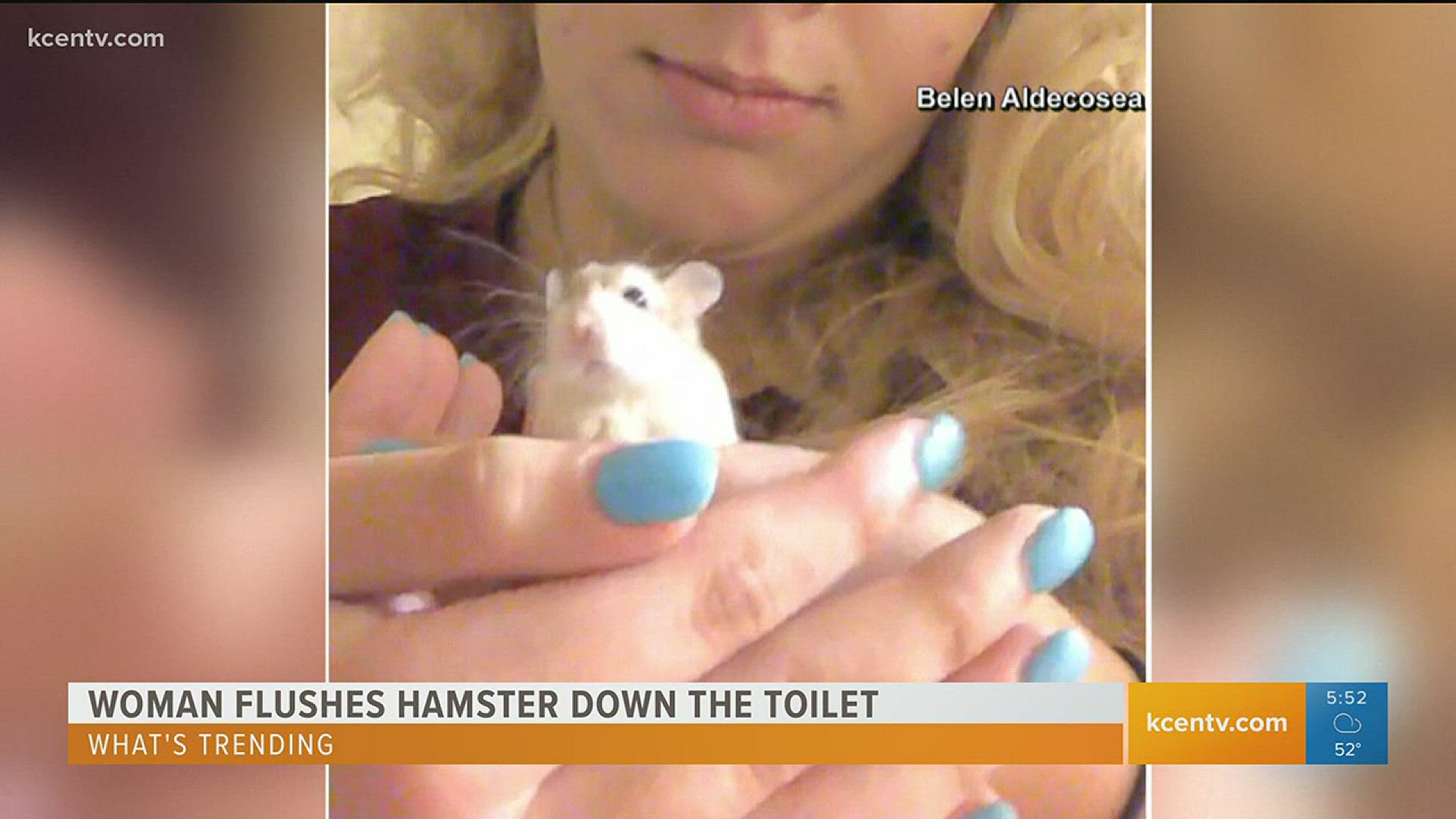 Woman flushes hamster down toilet and boy stuck in toy machine.