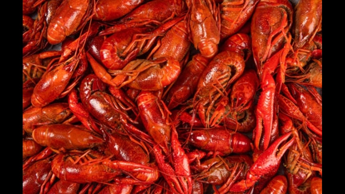 crawfish-shortage-hits-central-texas-kcentv