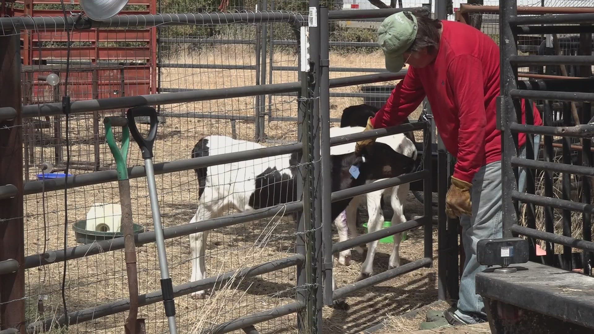 The ranch owner is asking officials to do more about the situation.