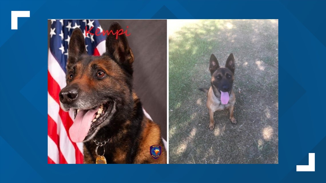 Fallen Waco K9s honored Wednesday at K9 Memorial Dedication - Vimarsana News