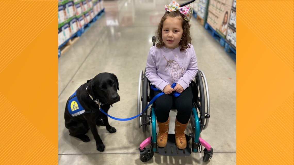 Canine Companions - Meet Brisket! He's our #futureservicedog representing  the Los Angeles Chargers, as he continues his journey to become a  #servicedog. You can follow and stay updated on his progress @chargerspup