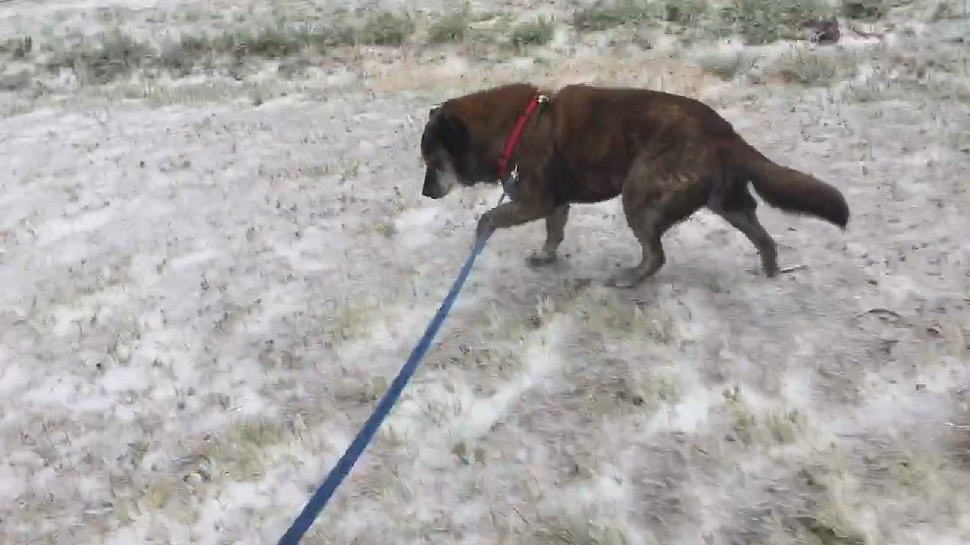 Making Valentine's Day fun in the Texas winter weather ...