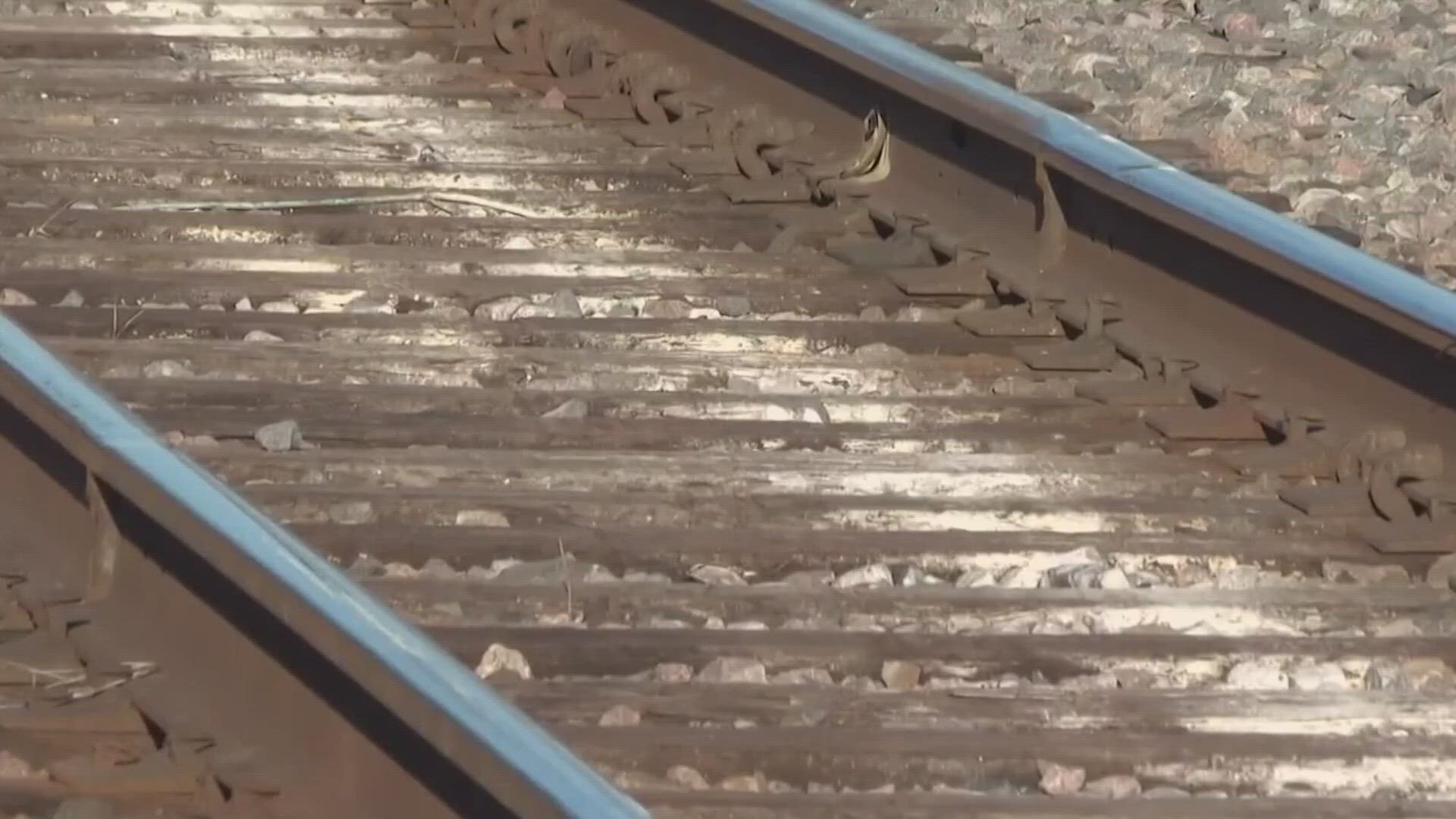 Train derailments around the country have sparked a push for safety legislation.