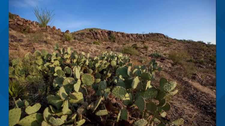 Biden designates Castner Range in El Paso a national monument