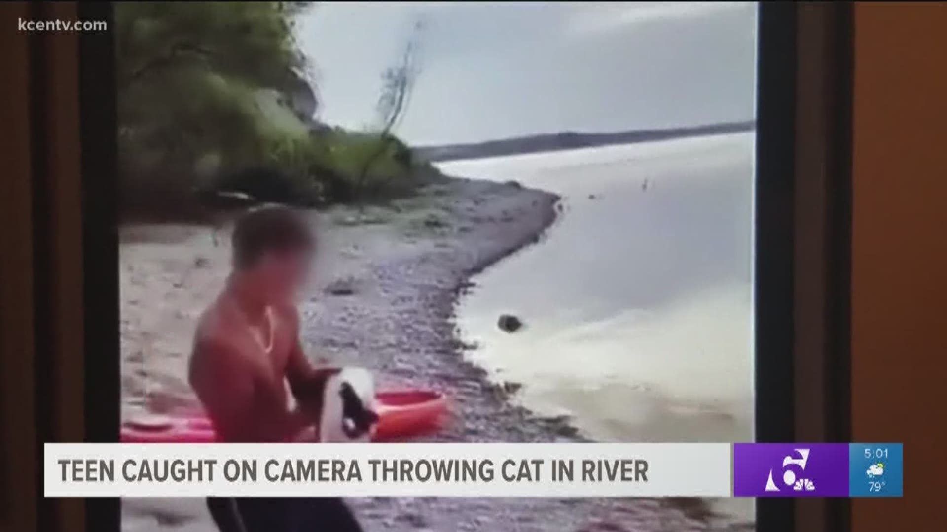 Teen caught on camera throwing cat in river