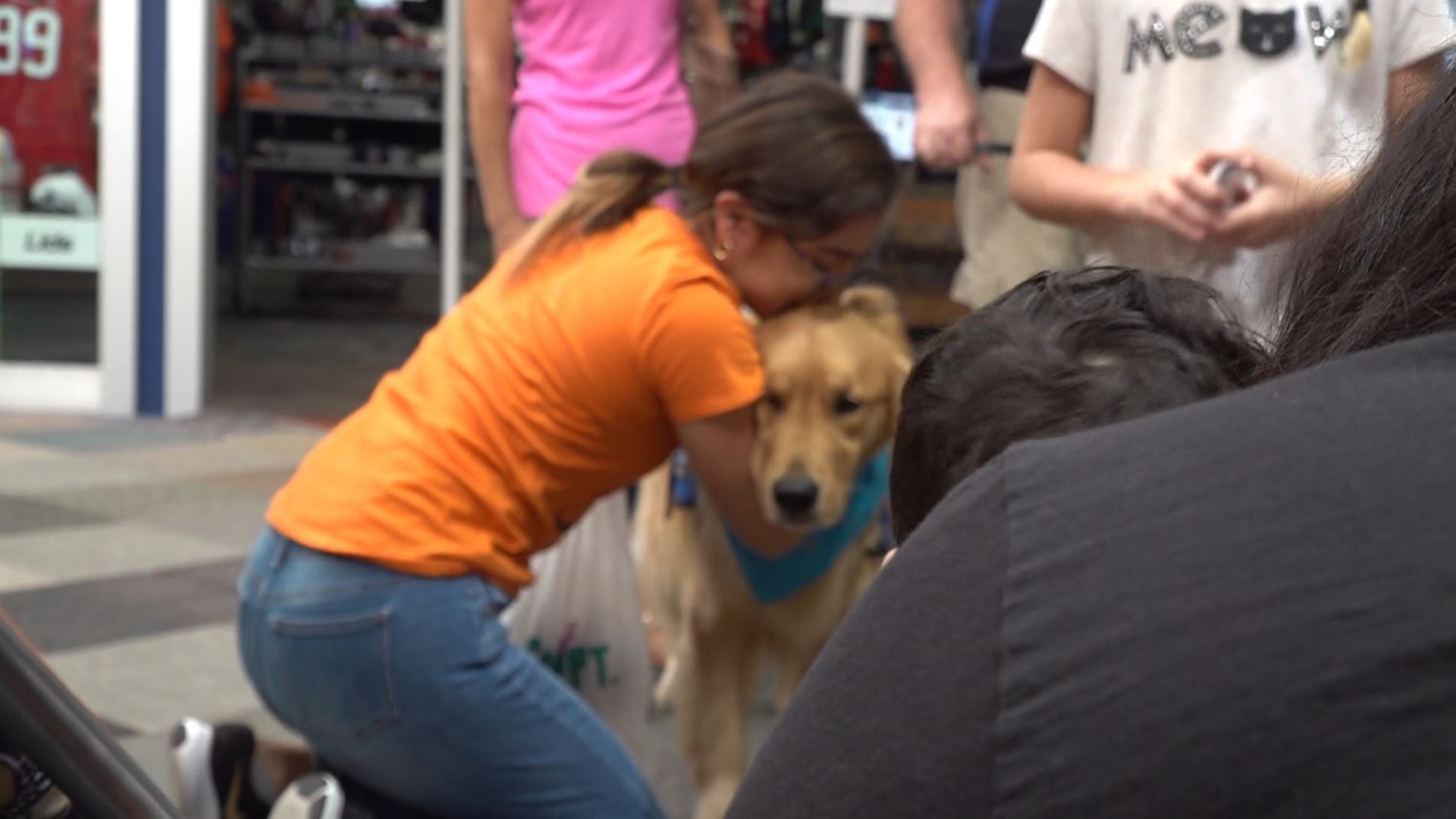 Comfort dogs arrive in Midland-Odessa to help the community heal after a mass shooting. On Saturday, a gunman killed 7 people and wounded at least 21 others in a shooting spree that spanned the two West Texas cities.
