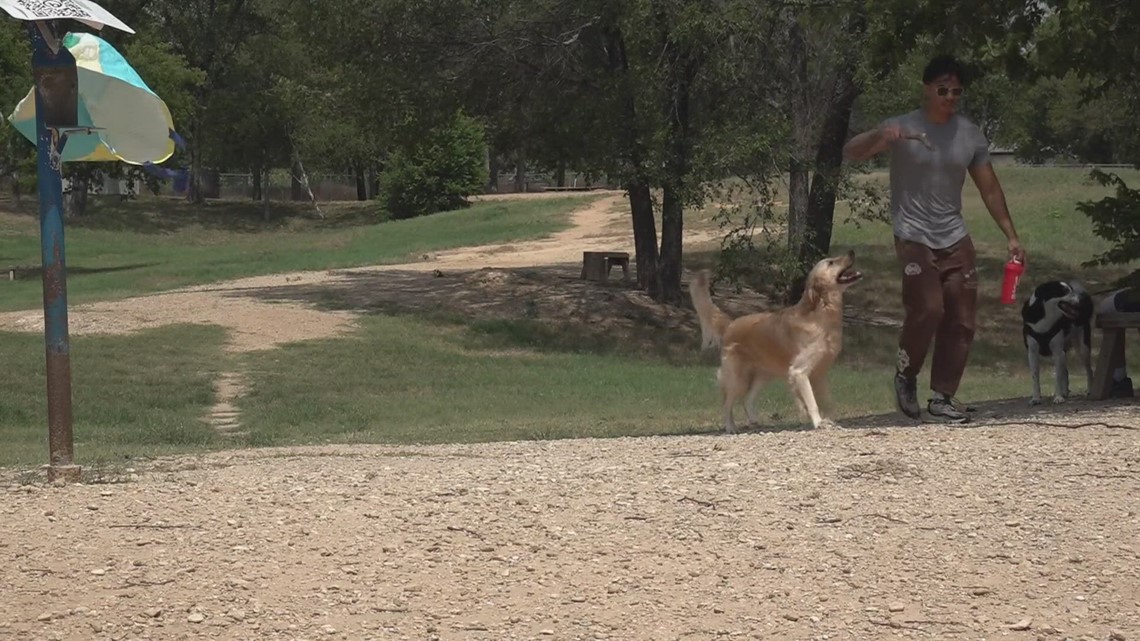 Waco, Texas News Hot Dog Park at risk of closing down