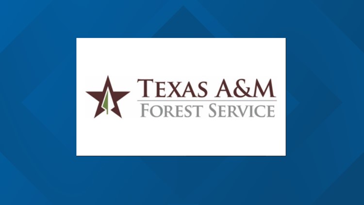 Texas A&M Forest Service awards the McGregor Volunteer Fire Department a free military truck, $20K grant