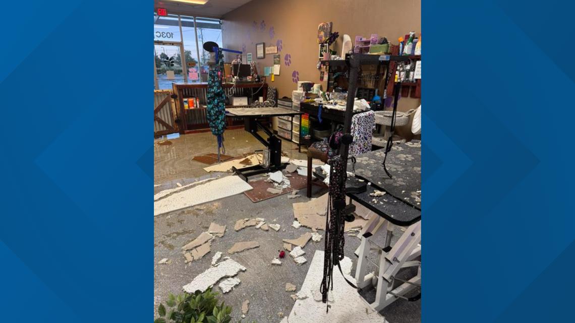 Dog grooming business in Temple, TX rebuilding again after storms