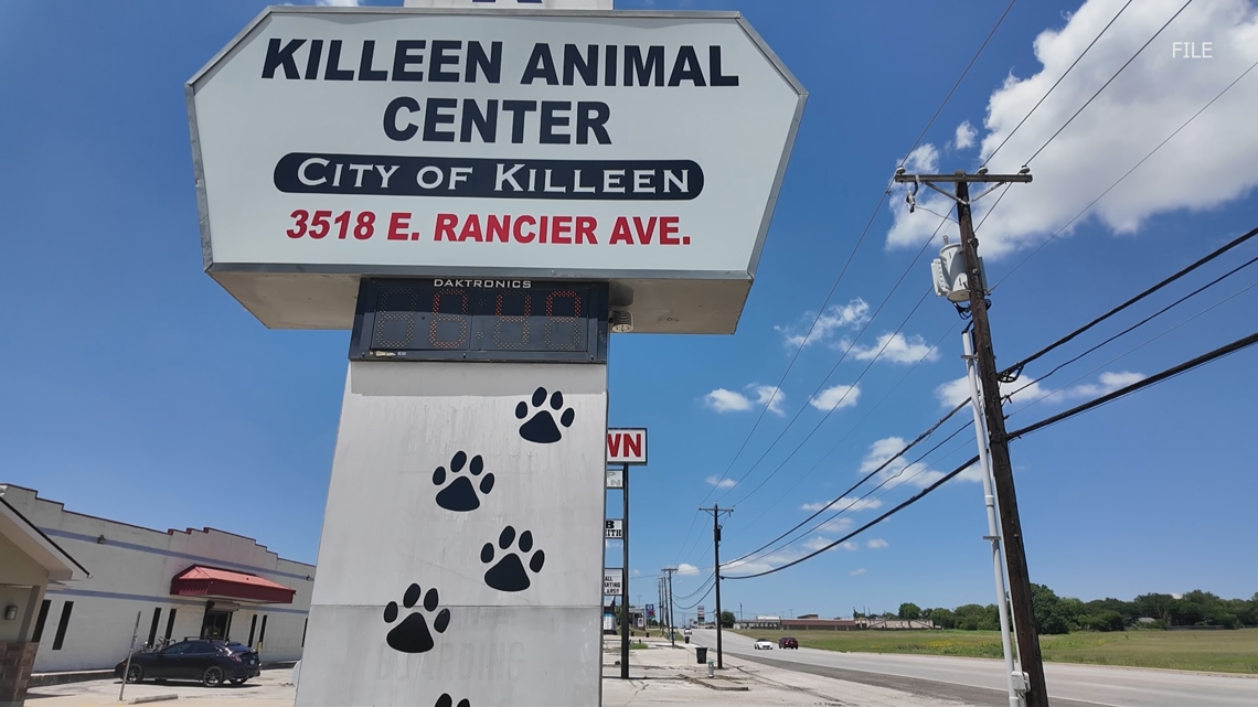 Killeen leaders weigh future of mold-plagued animal center, no decision reached