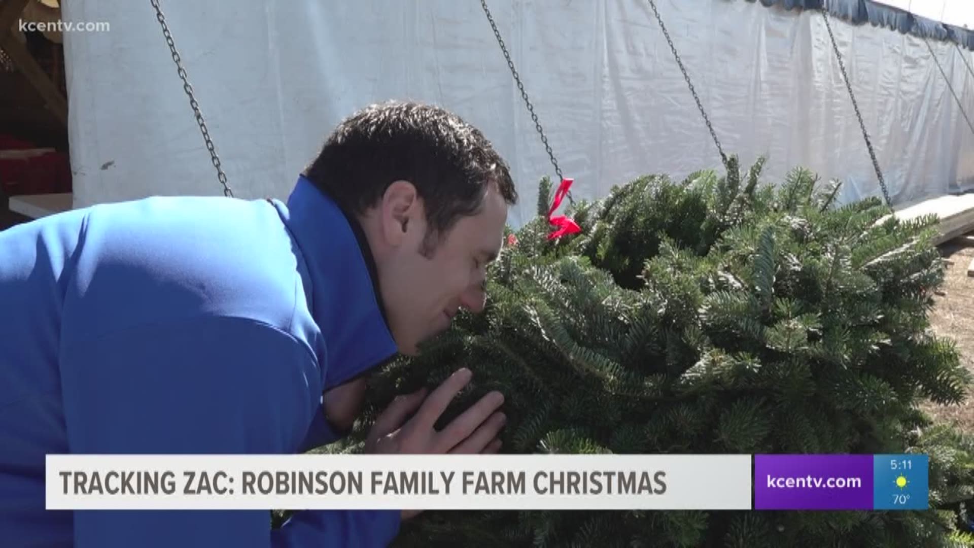Fresh Christmas trees are in at the Robinson Family Farm.